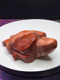 Cotton Candy Agate Turtle C