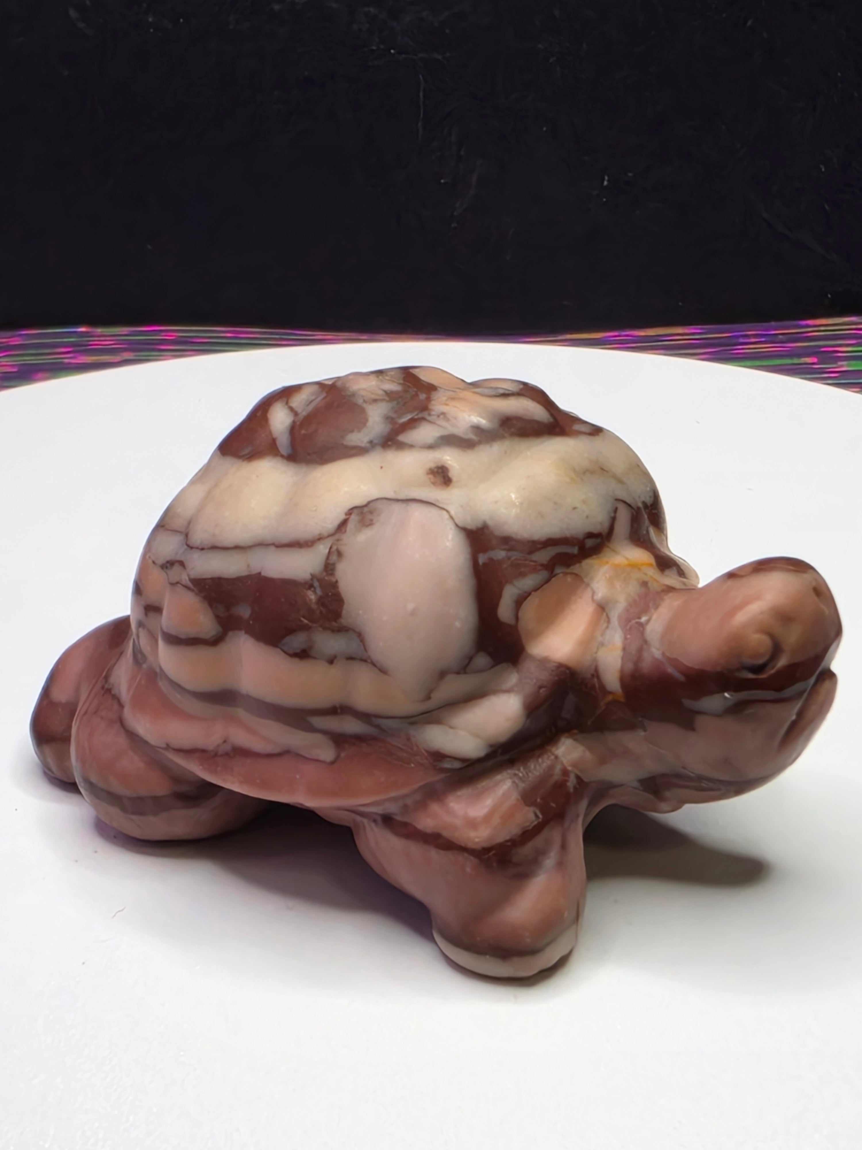 Chocolate Calcite Turtle