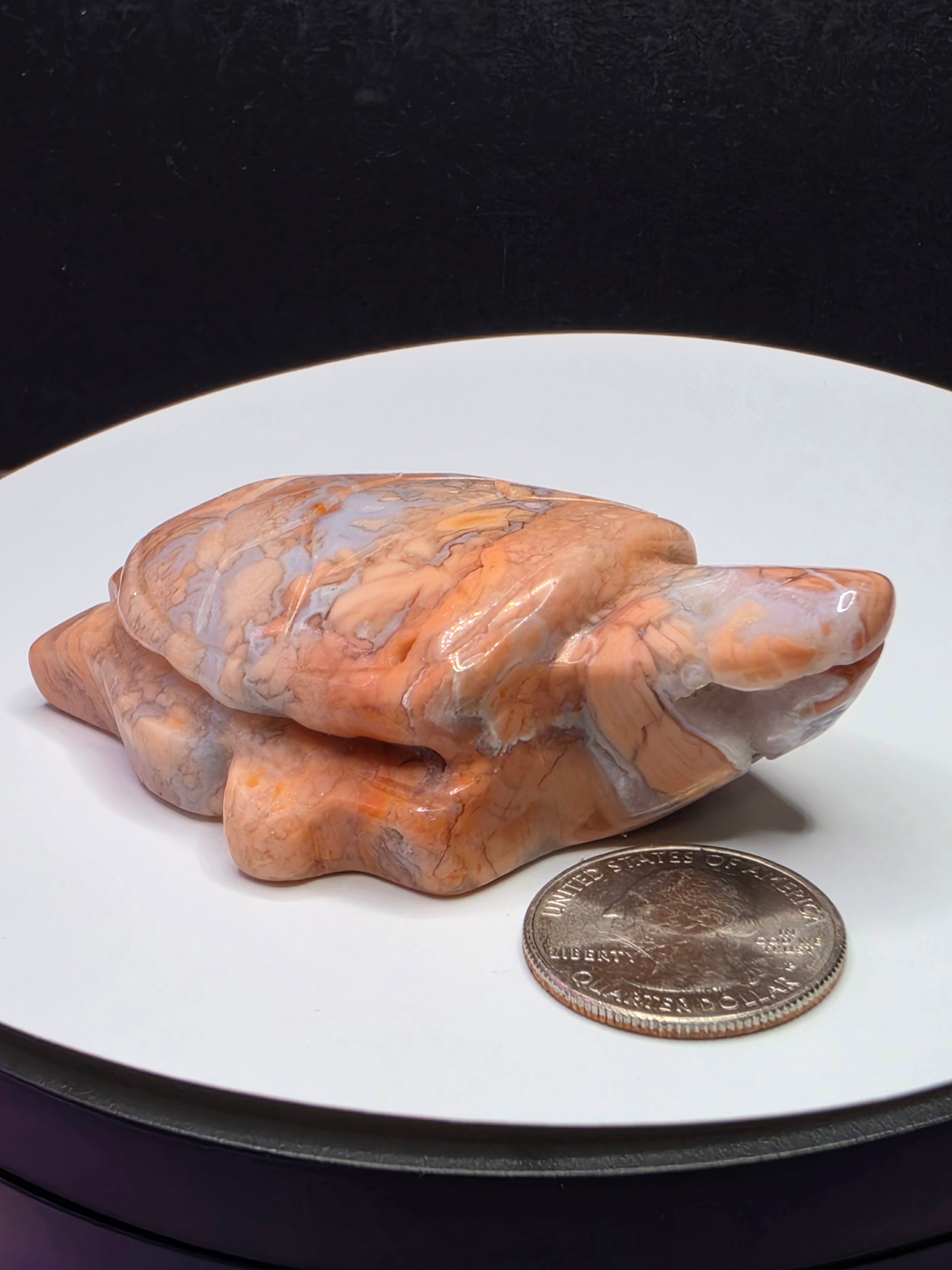 Cotton Candy Agate Turtle A