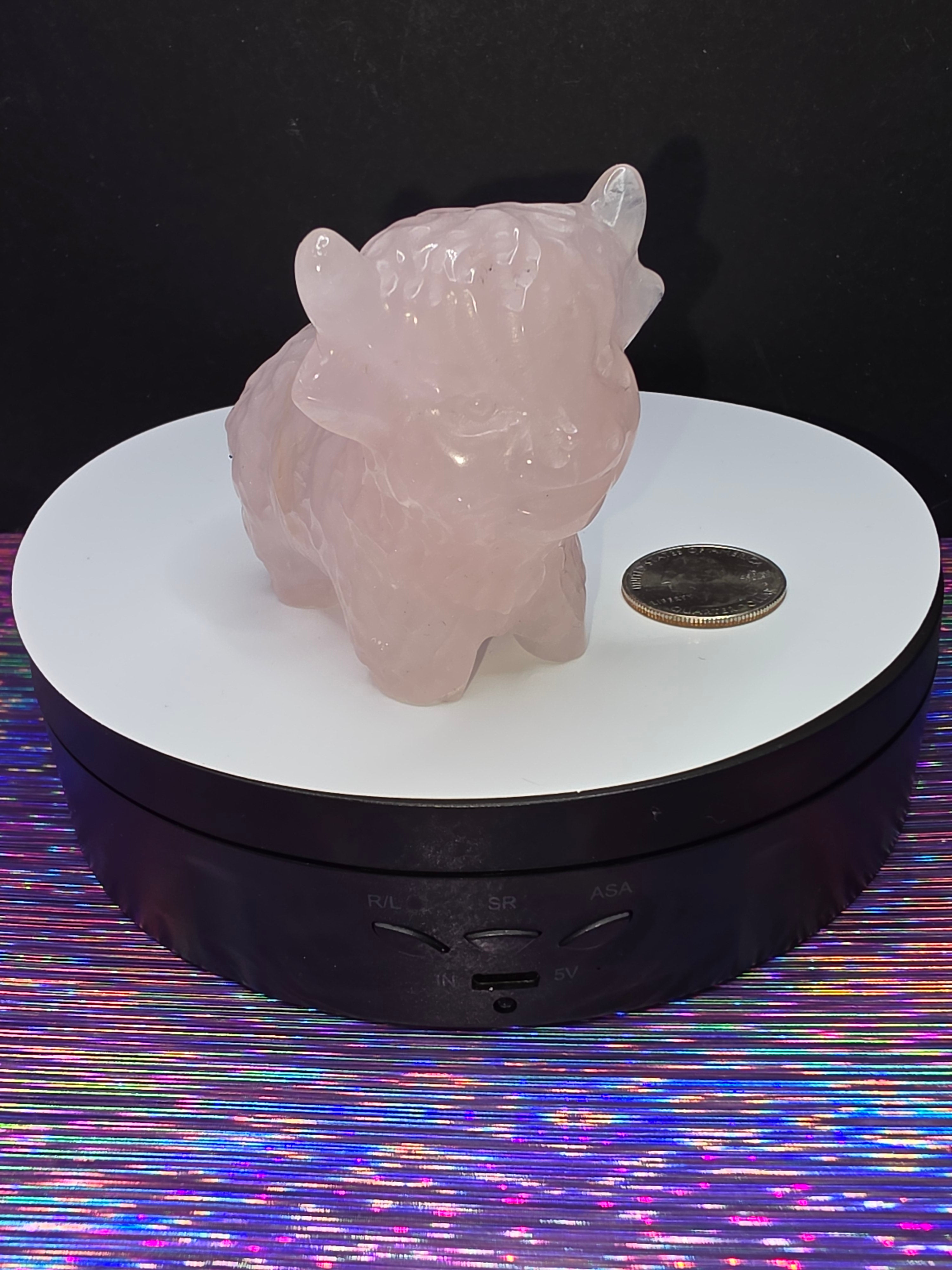 Rose Quartz Highland Cow A