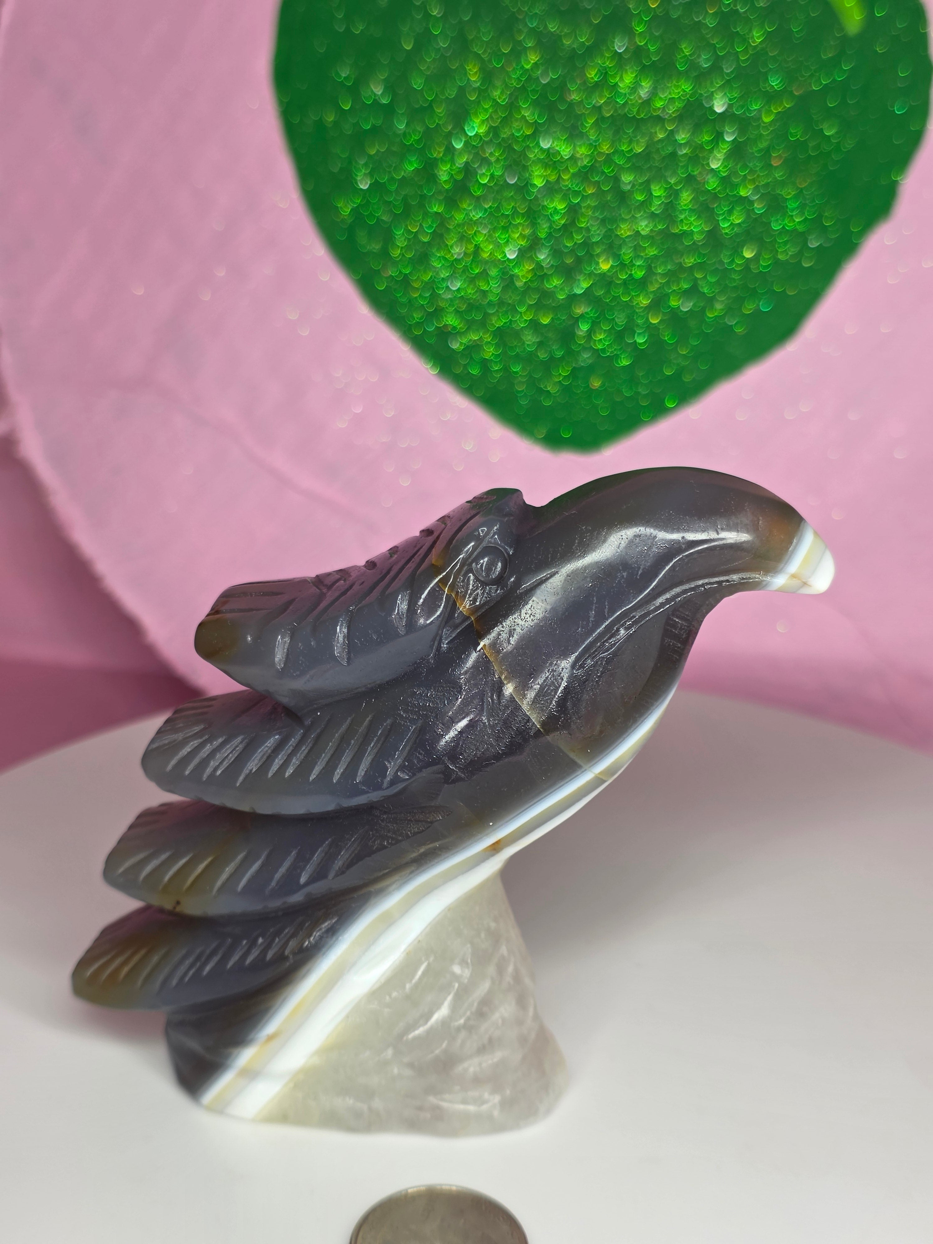 Orca Agate Eagle Head