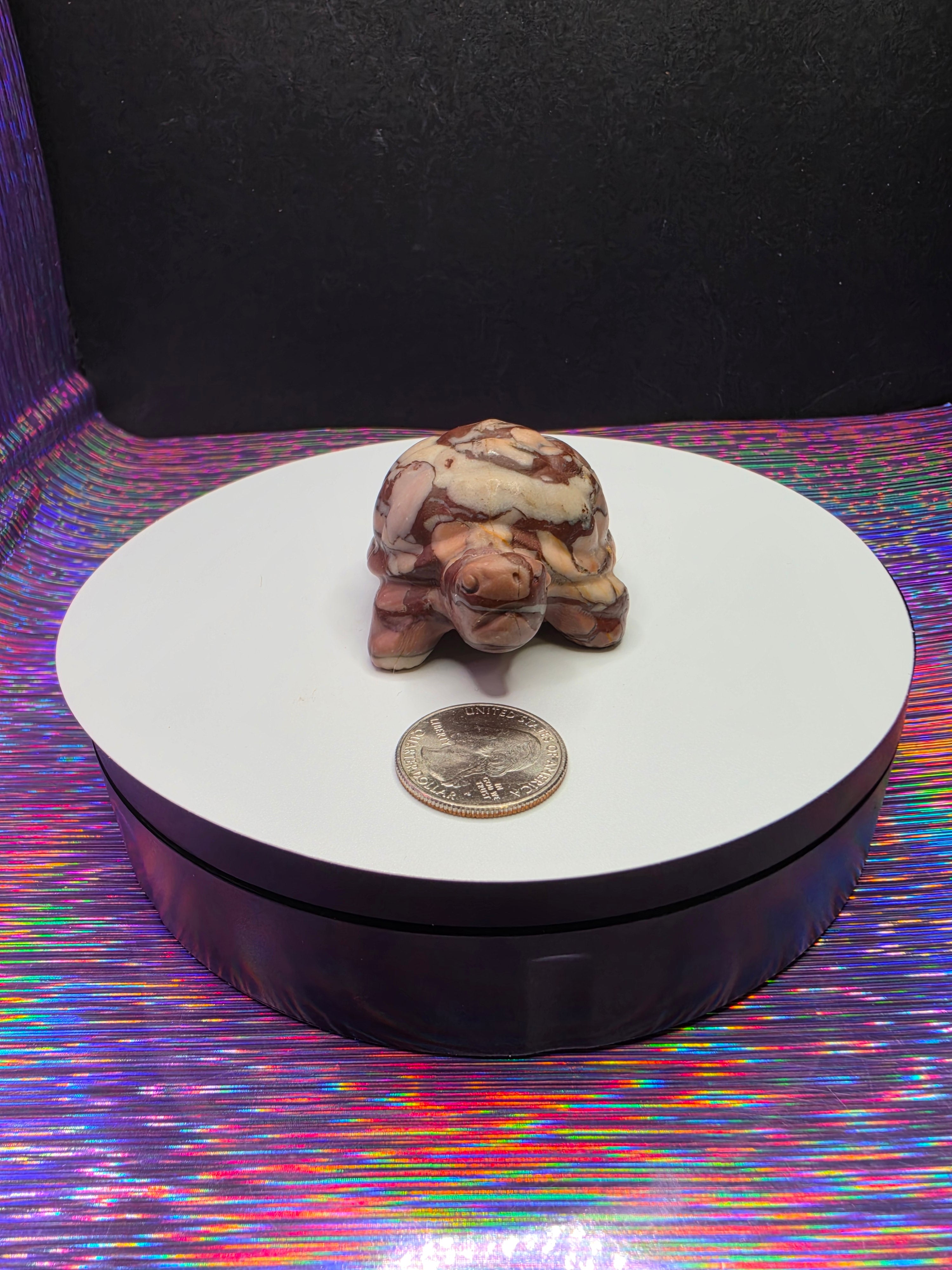 Chocolate Calcite Turtle