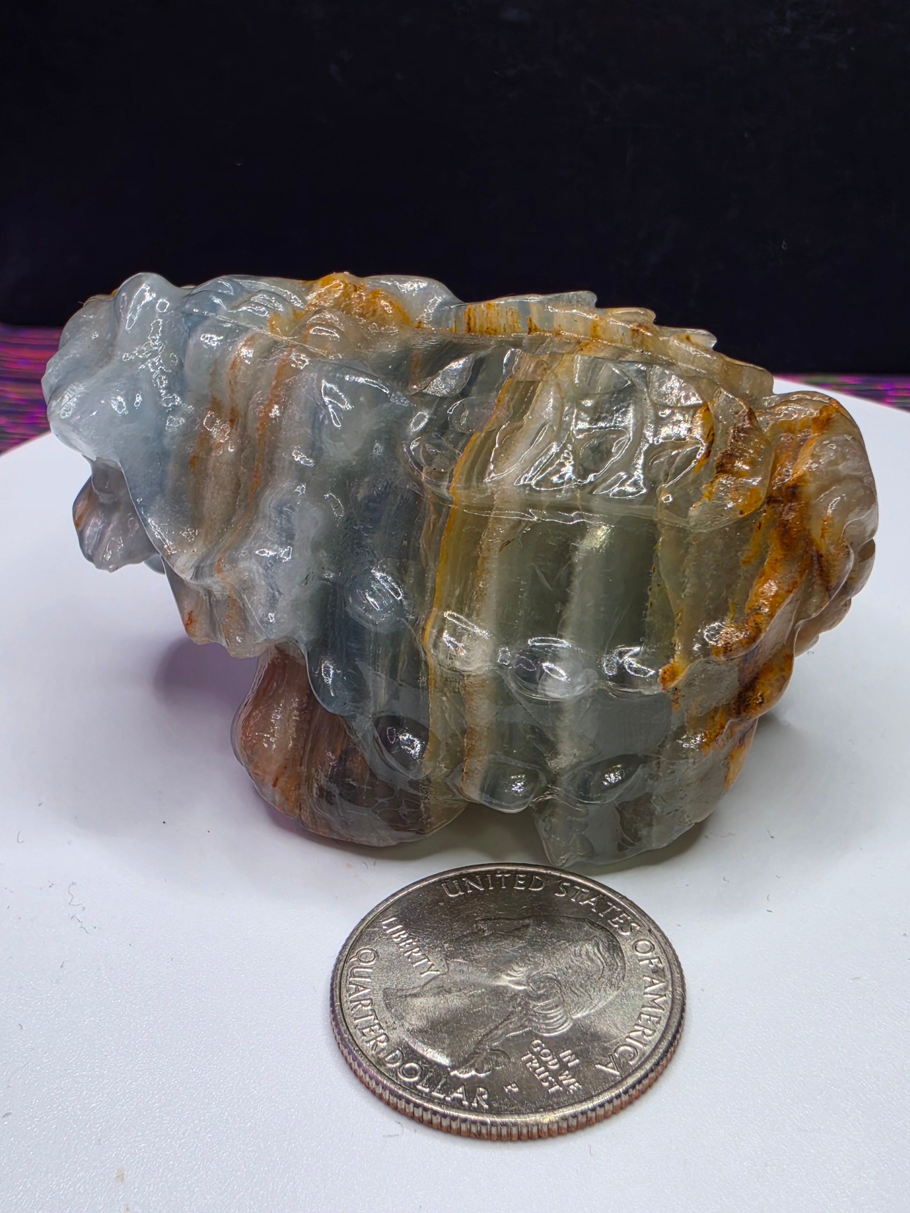 Blue Onyx Lion Turtle