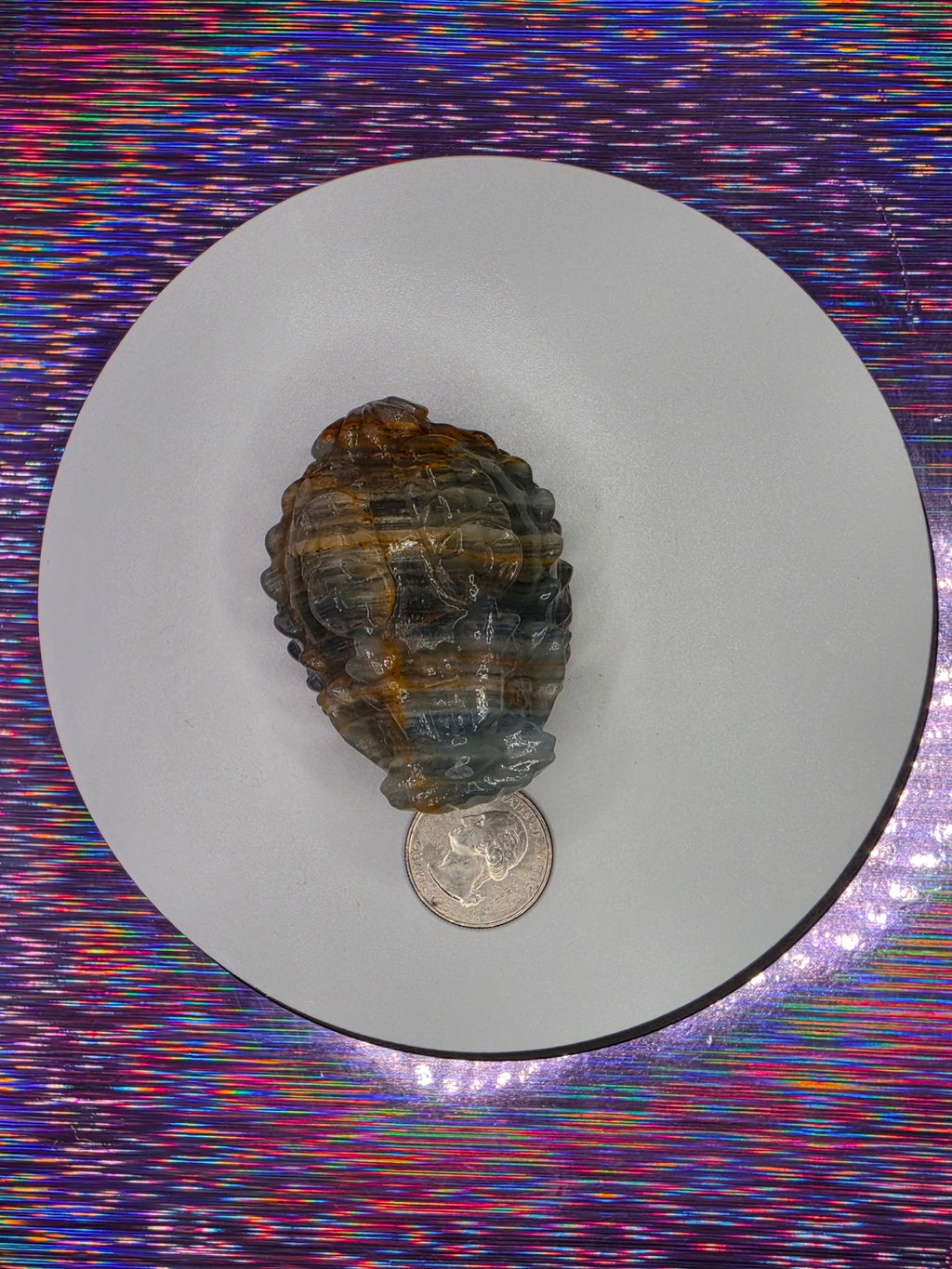 Blue Onyx Lion Turtle