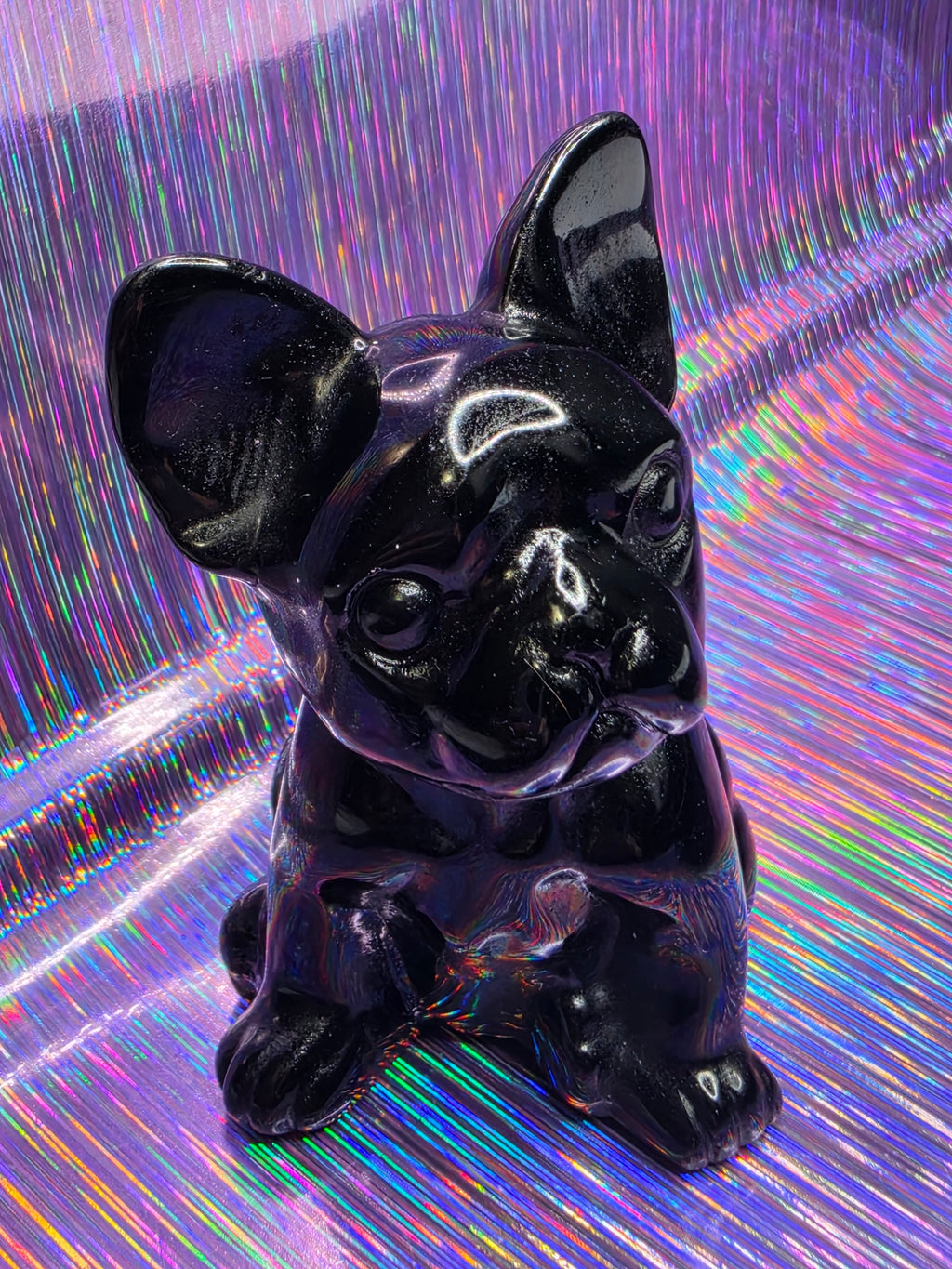Obsidian French Bulldog