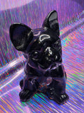Obsidian French Bulldog