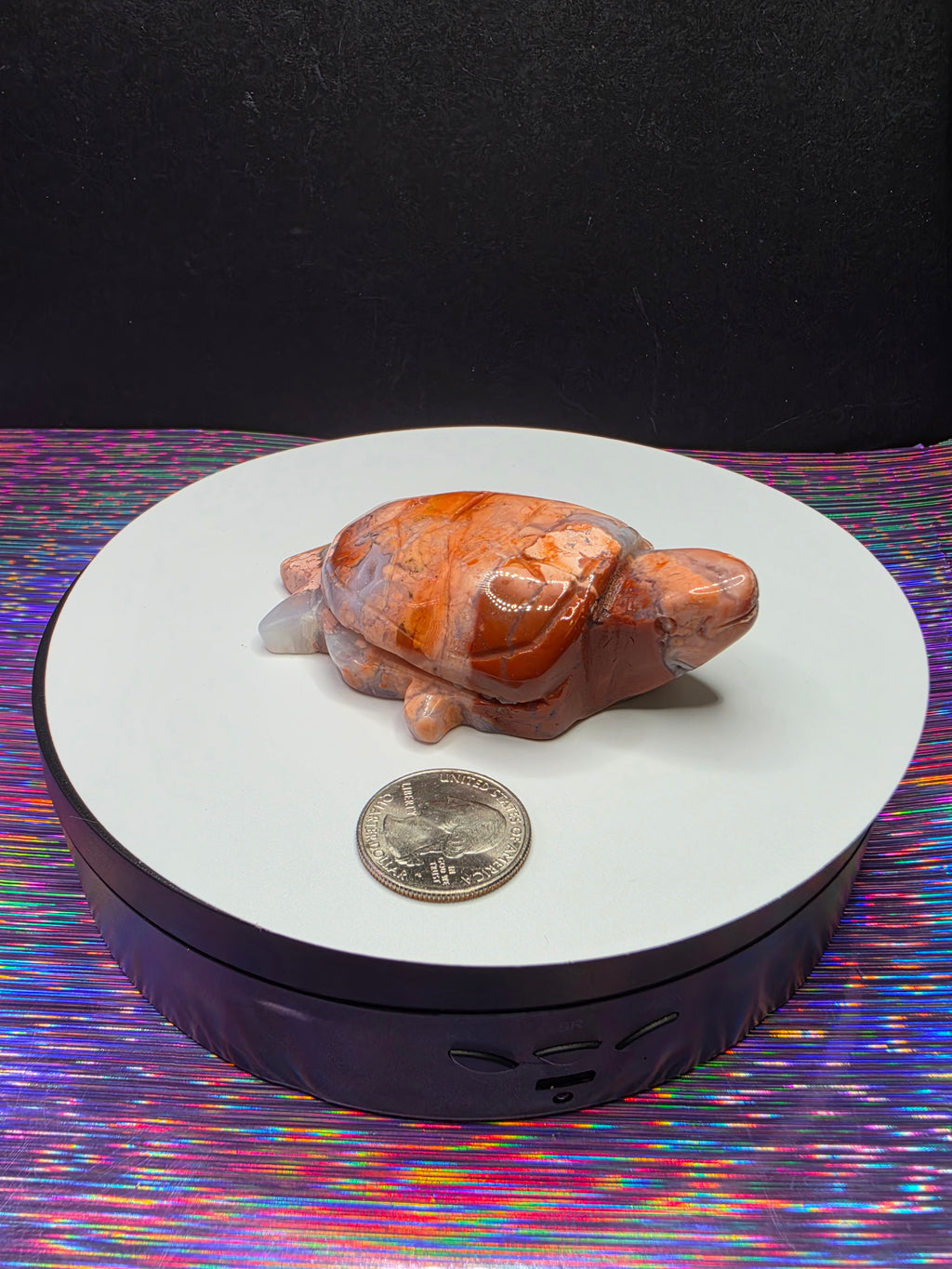 Cotton Candy Agate Turtle B