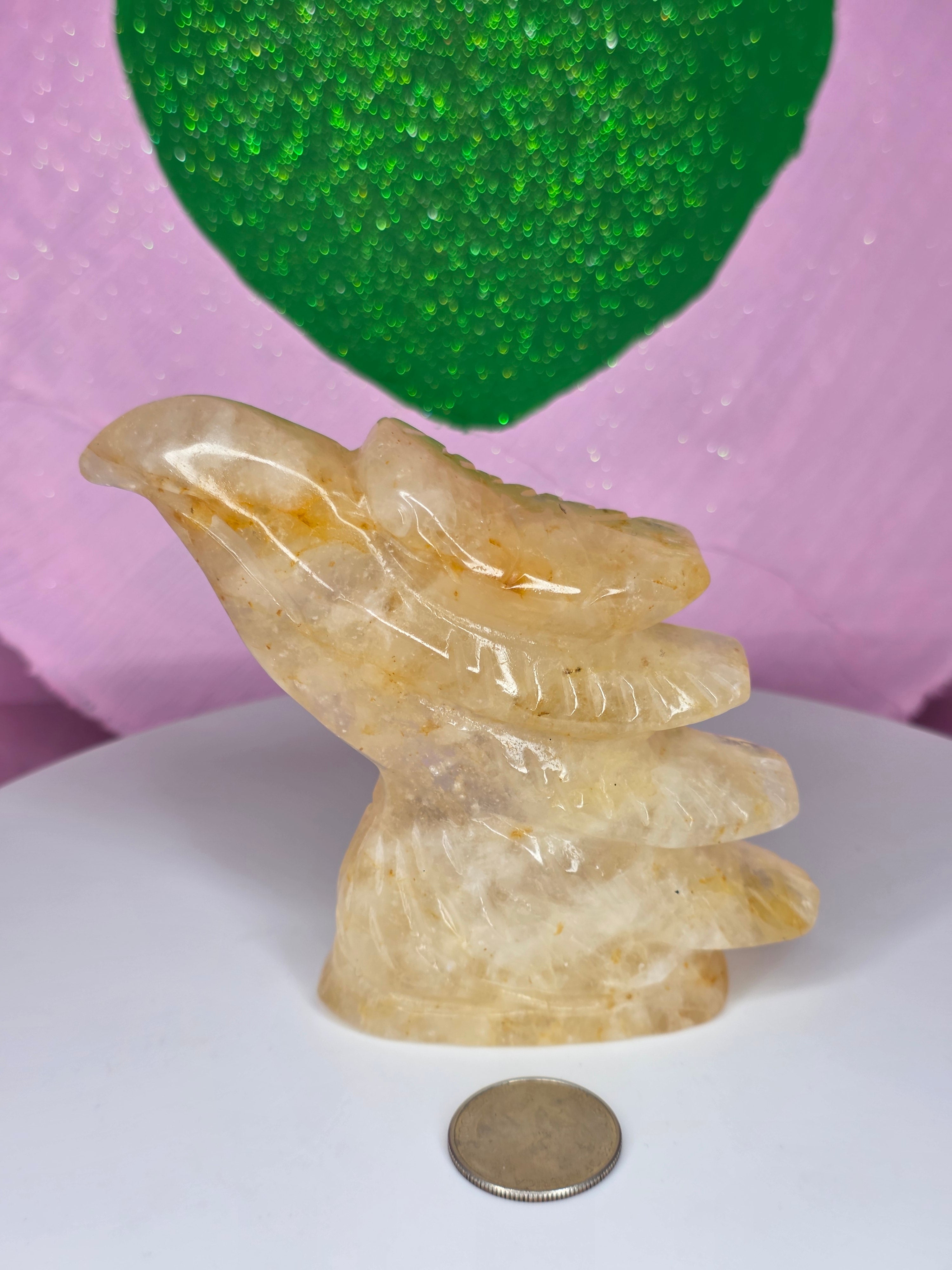 Golden Healer Eagle Head D