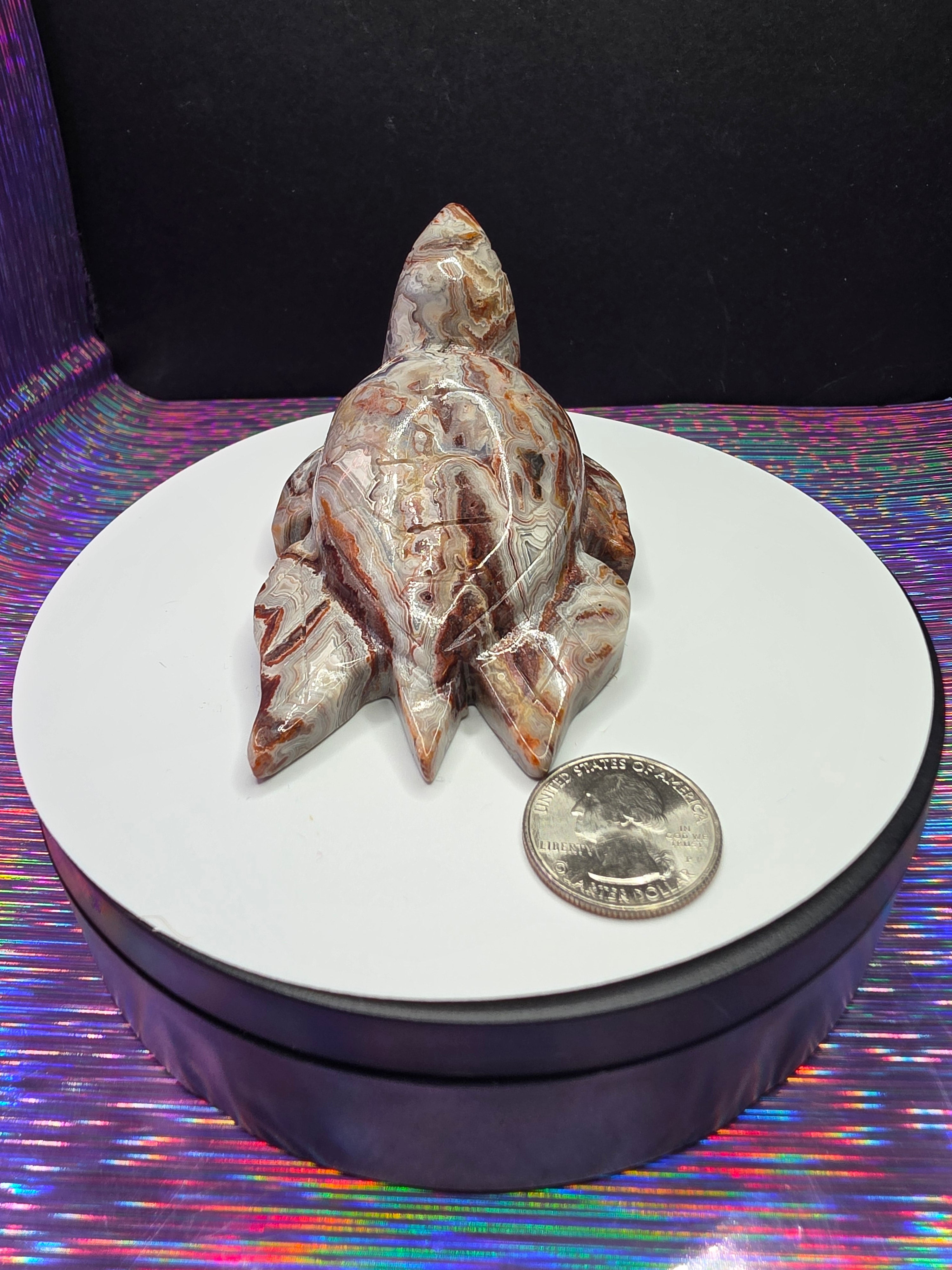 Crazy Lace Agate Turtle B