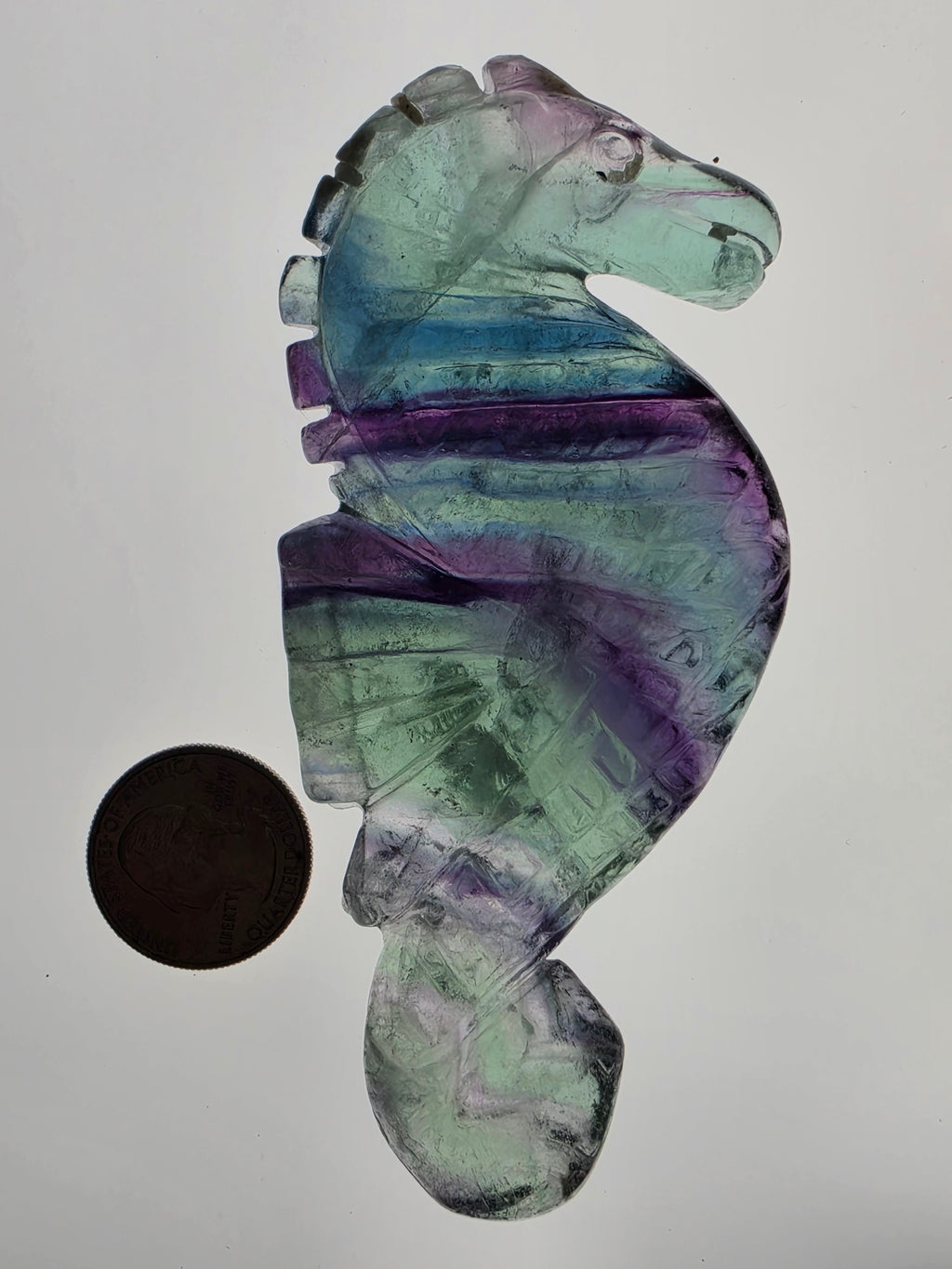 Fluorite Seahorse D