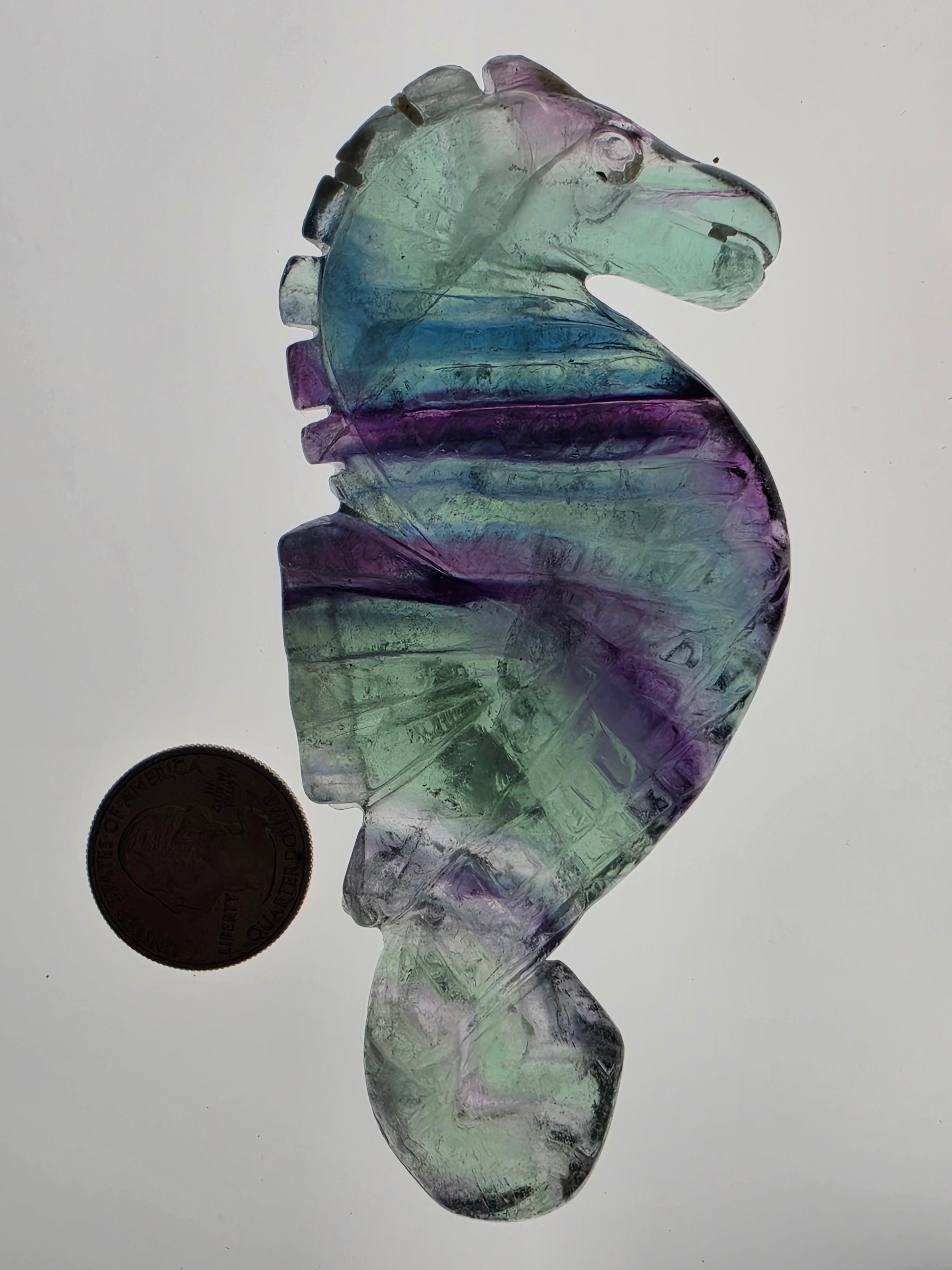 Fluorite Seahorse D
