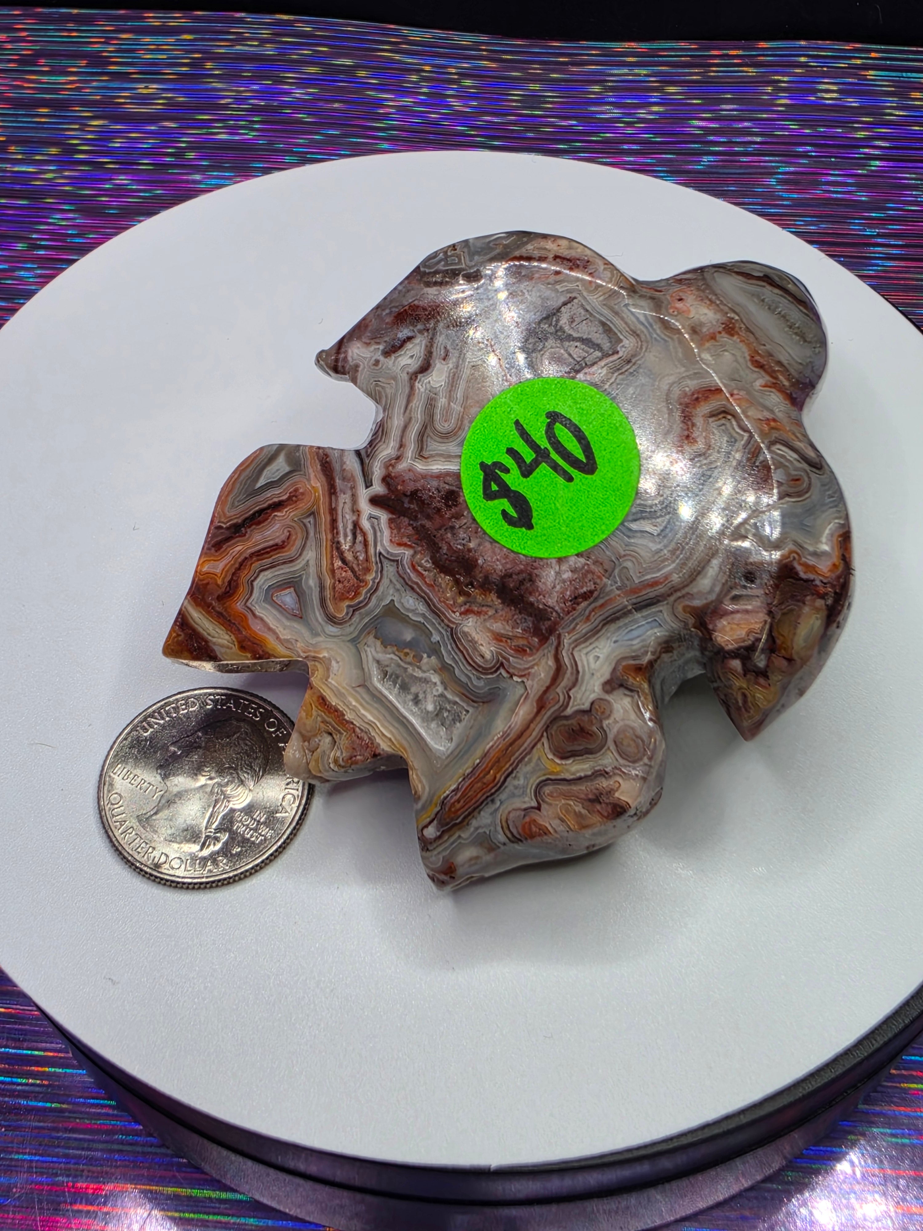 Crazy Lace Agate Turtle A