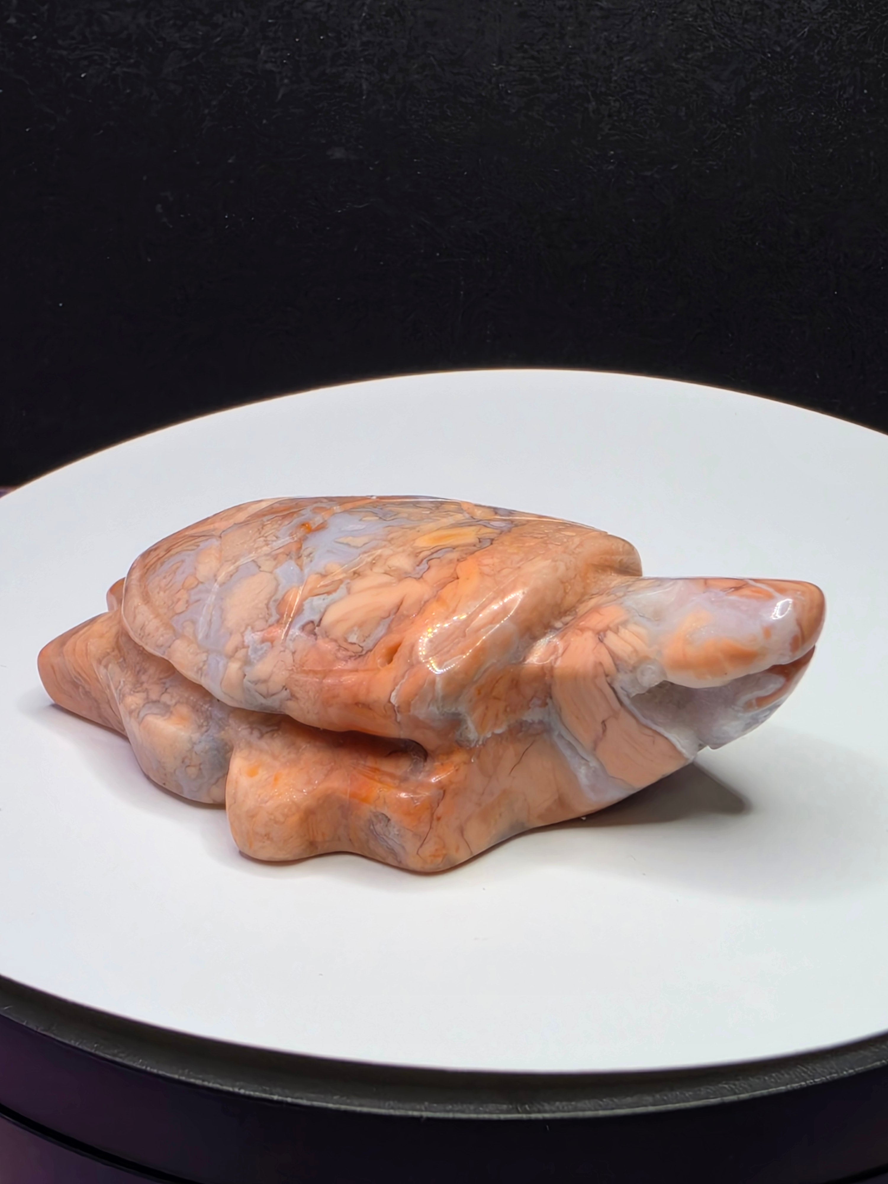 Cotton Candy Agate Turtle A
