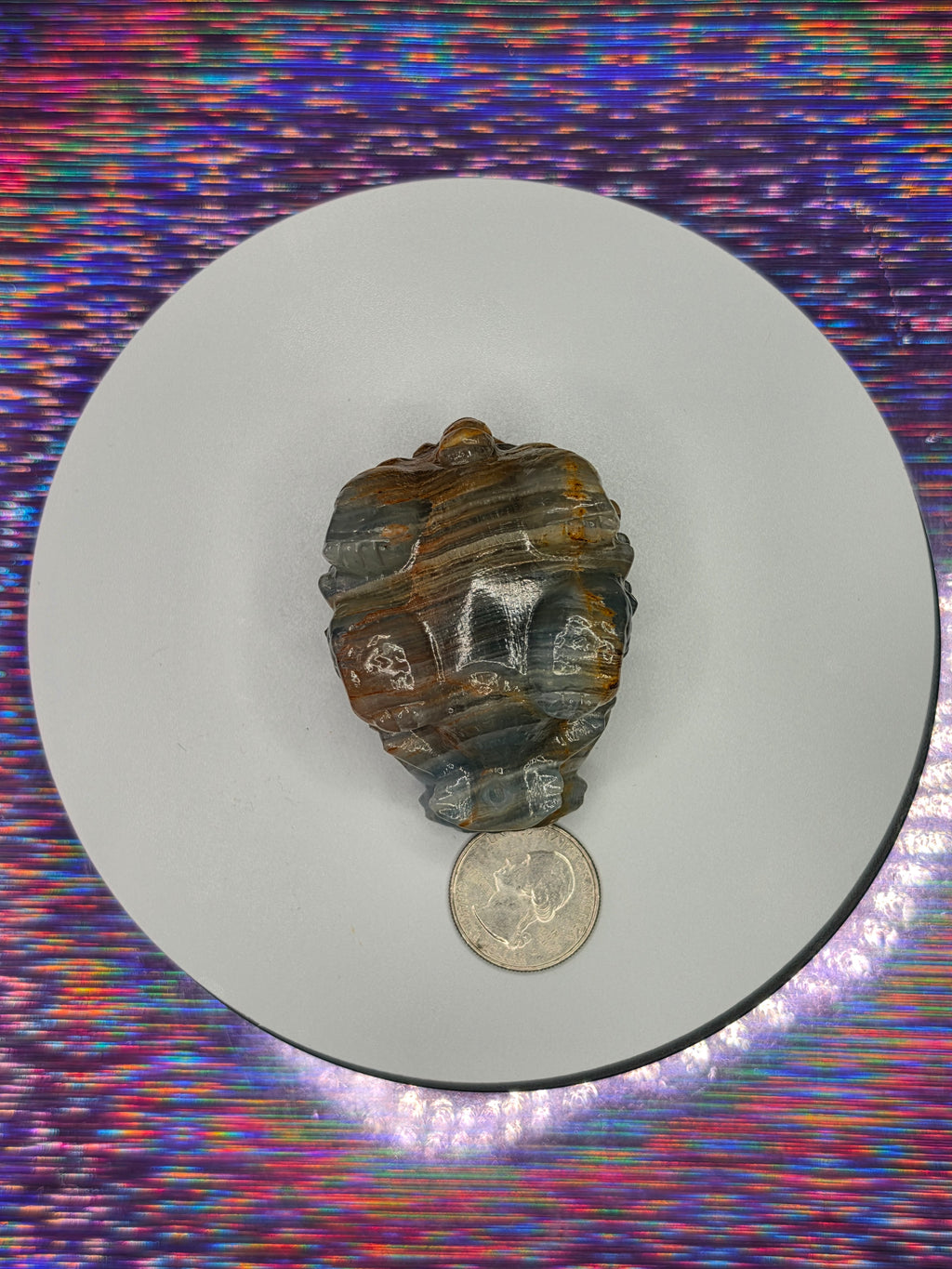 Blue Onyx Lion Turtle