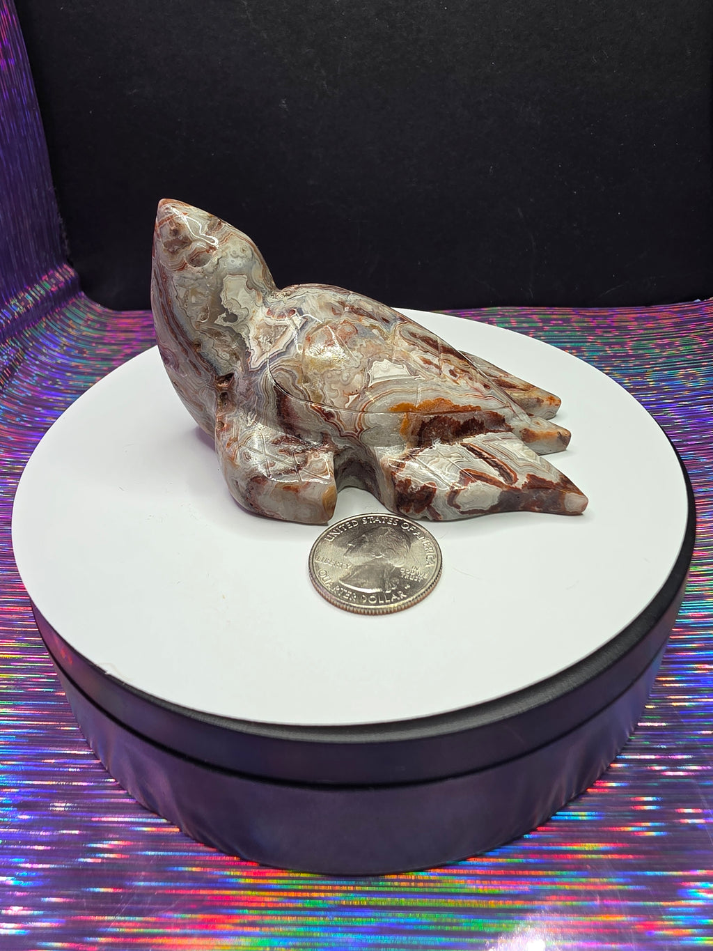 Crazy Lace Agate Turtle B