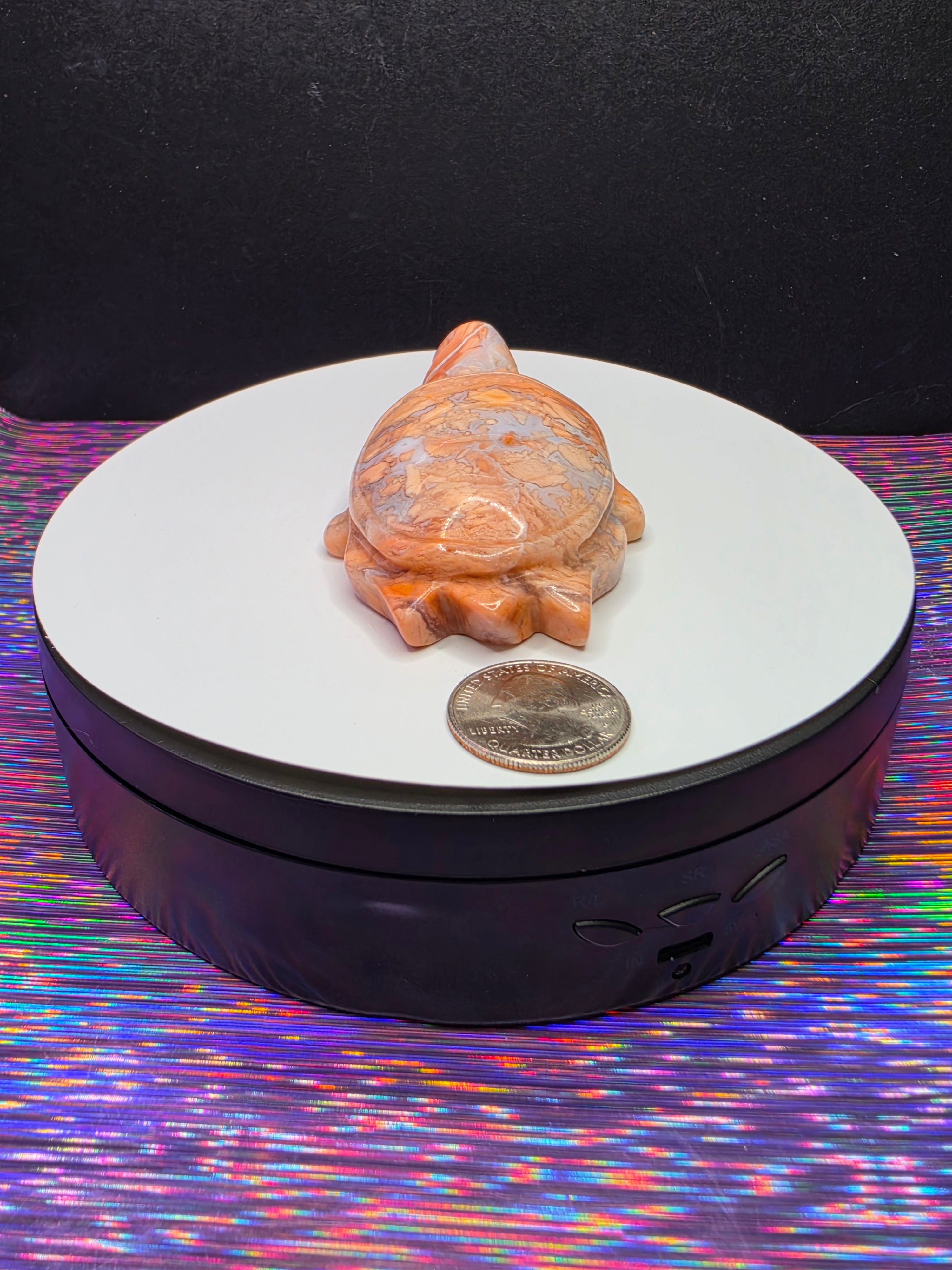 Cotton Candy Agate Turtle A