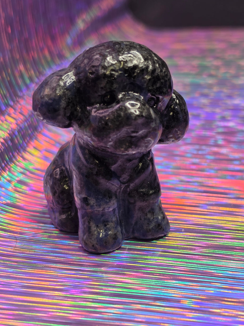 Sodalite "Wishes" Dog C
