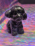 Sodalite "Wishes" Dog C