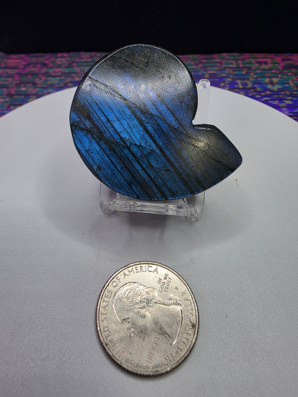 Labradorite Spiral Shell Carving