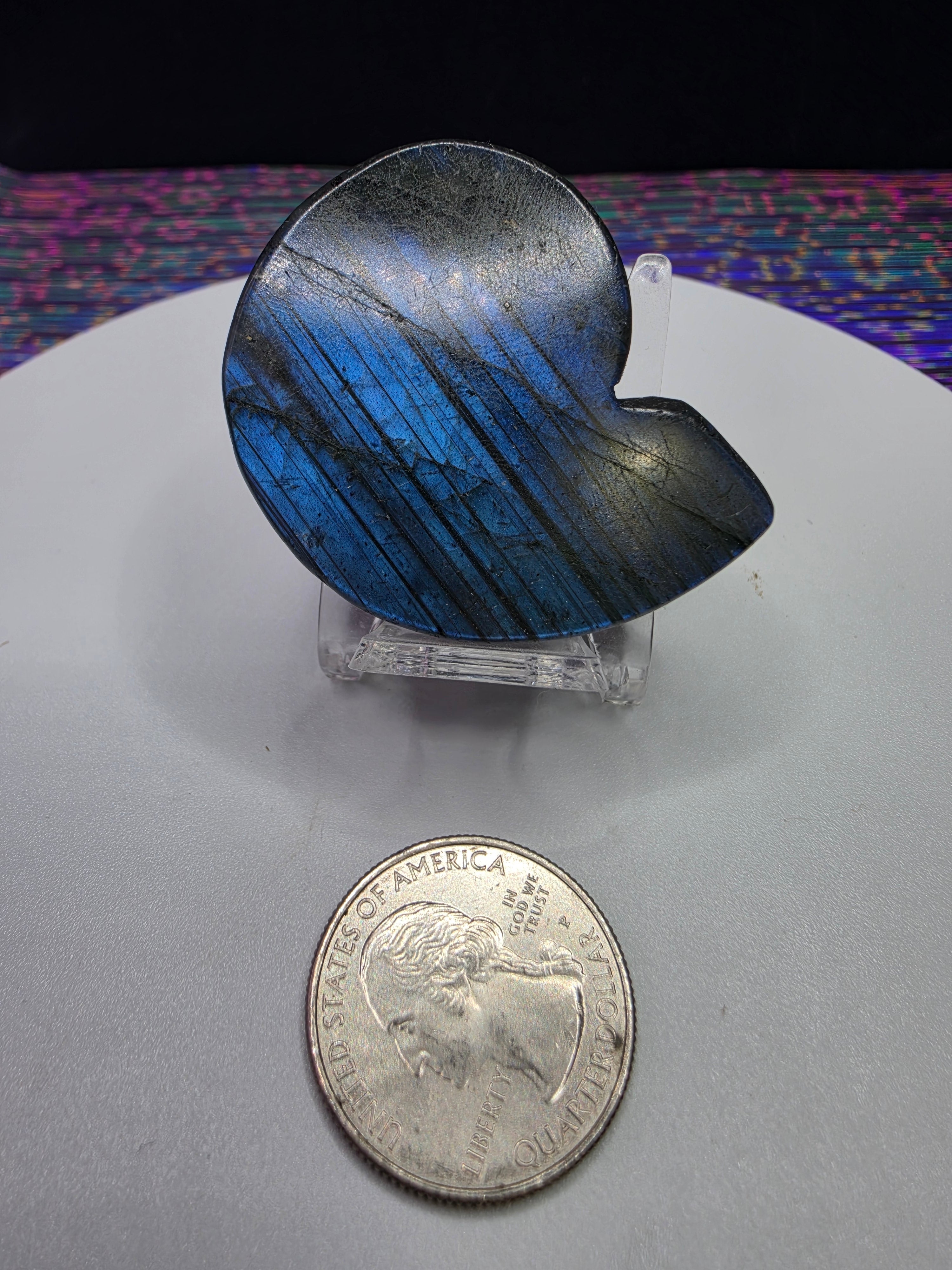Labradorite Spiral Shell Carving