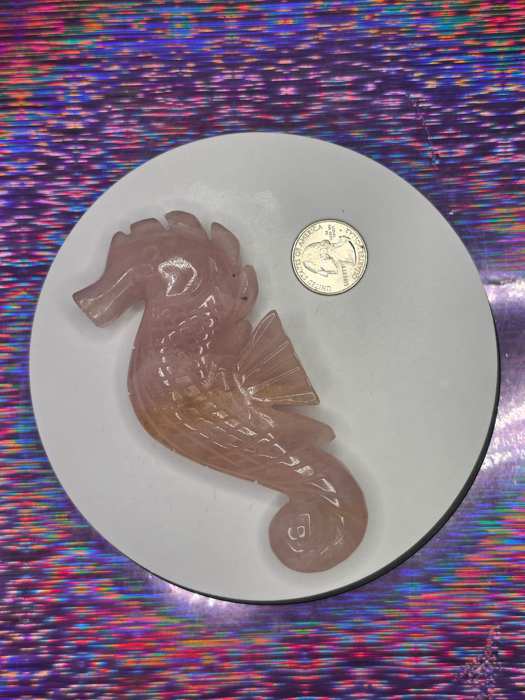 Rose Quartz Seahorse B
