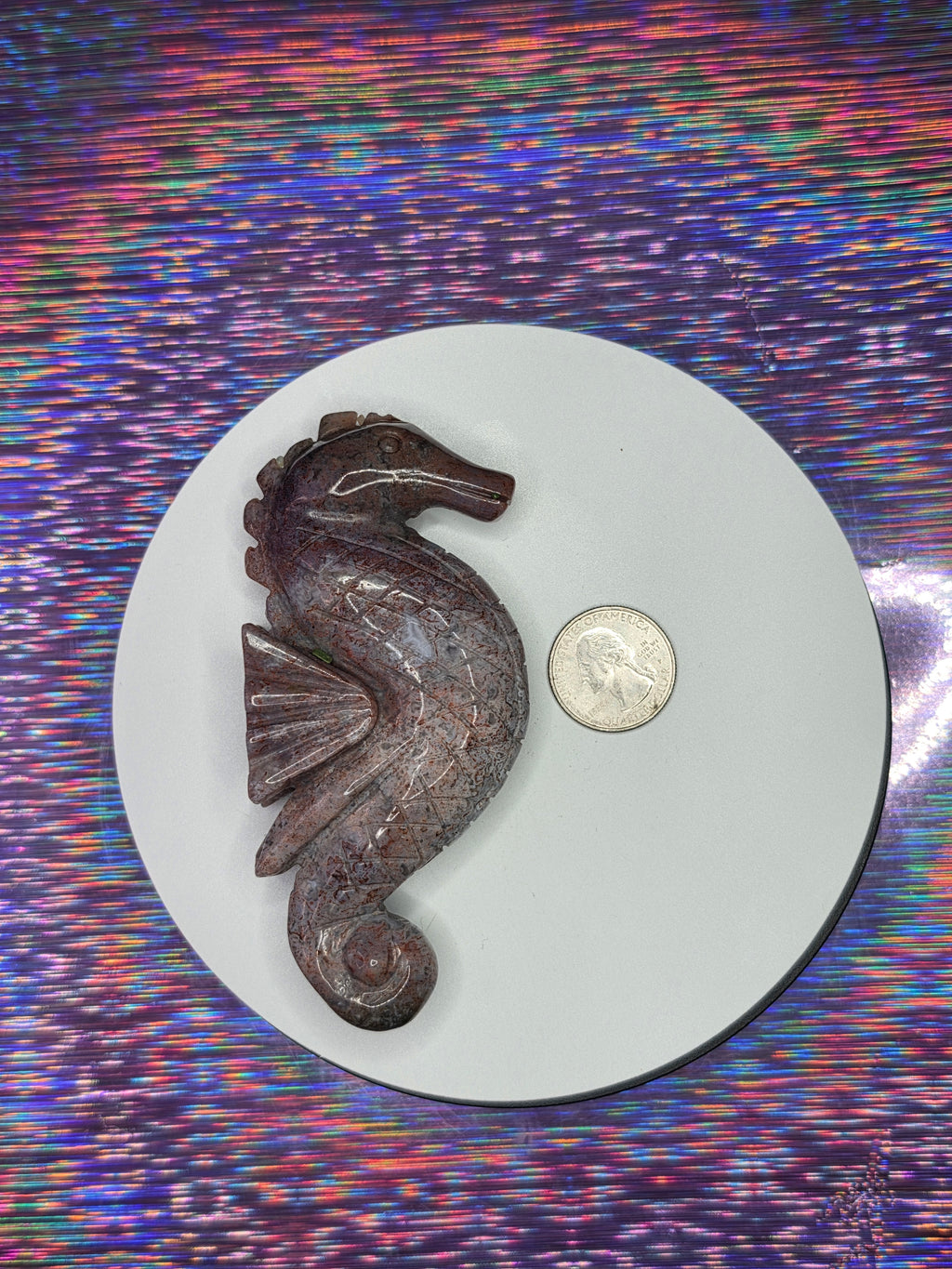 Sea Jasper Seahorse C