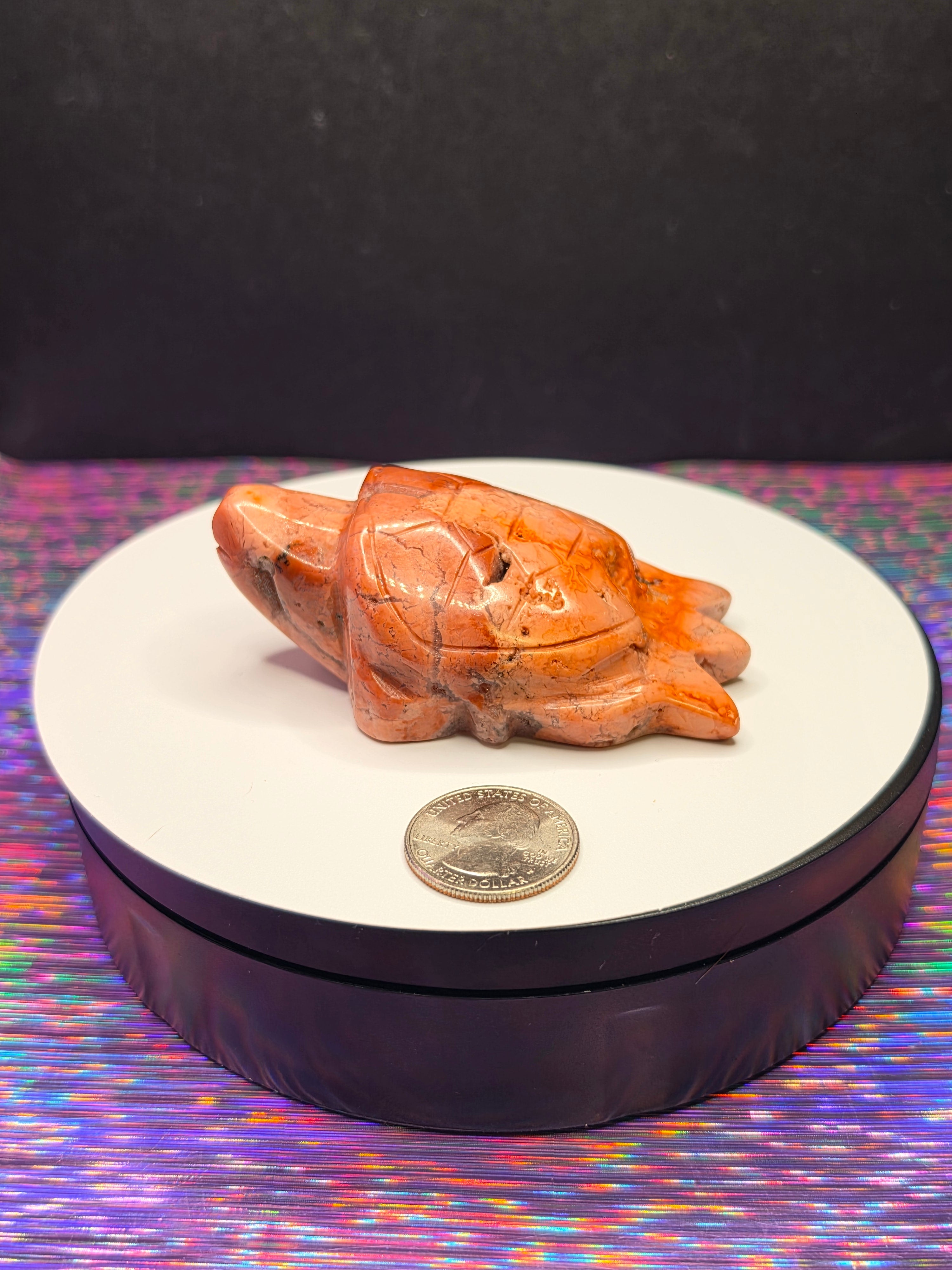 Cotton Candy Agate Turtle C