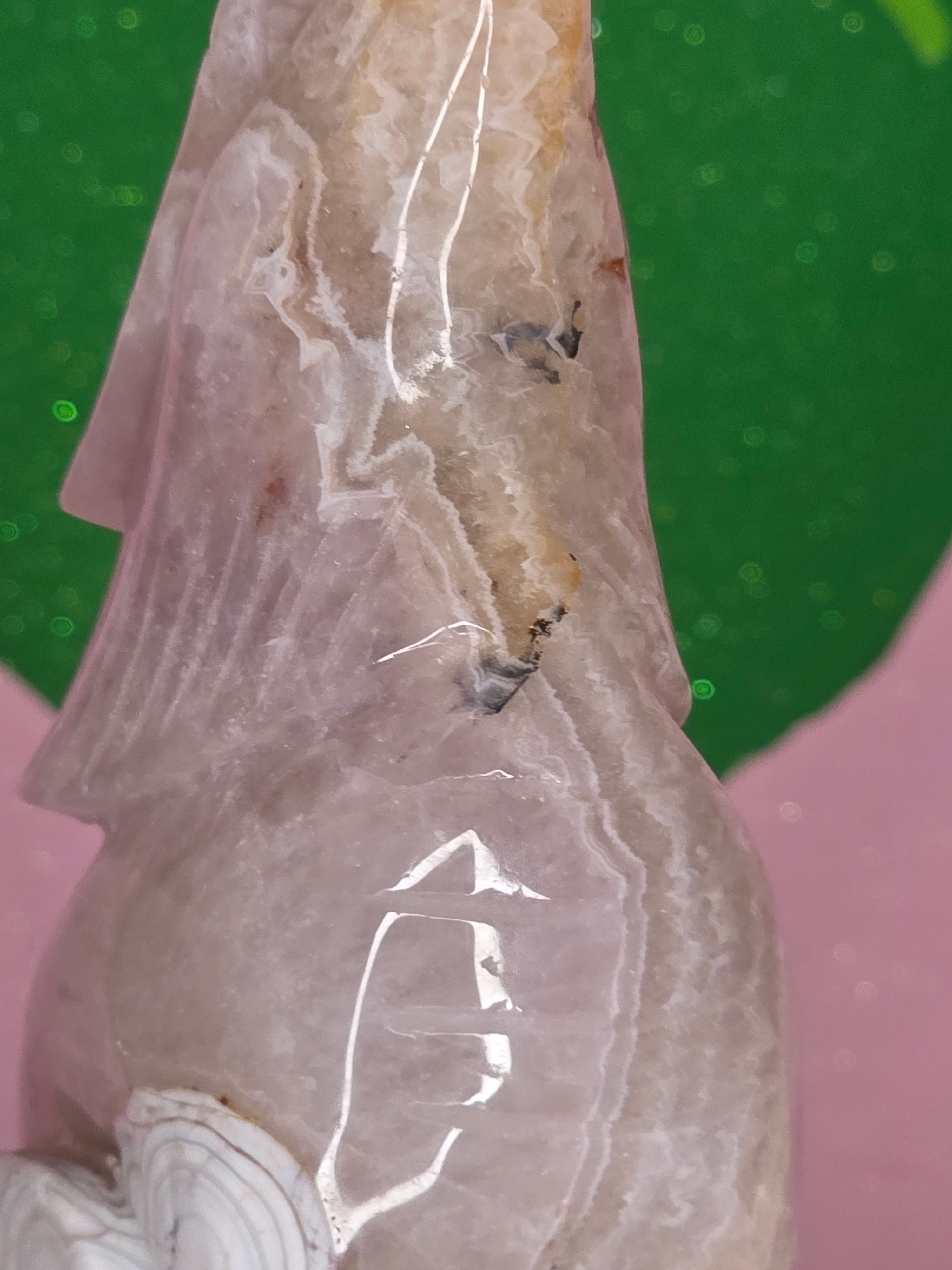 Crazy Lace Amethyst Wolf
