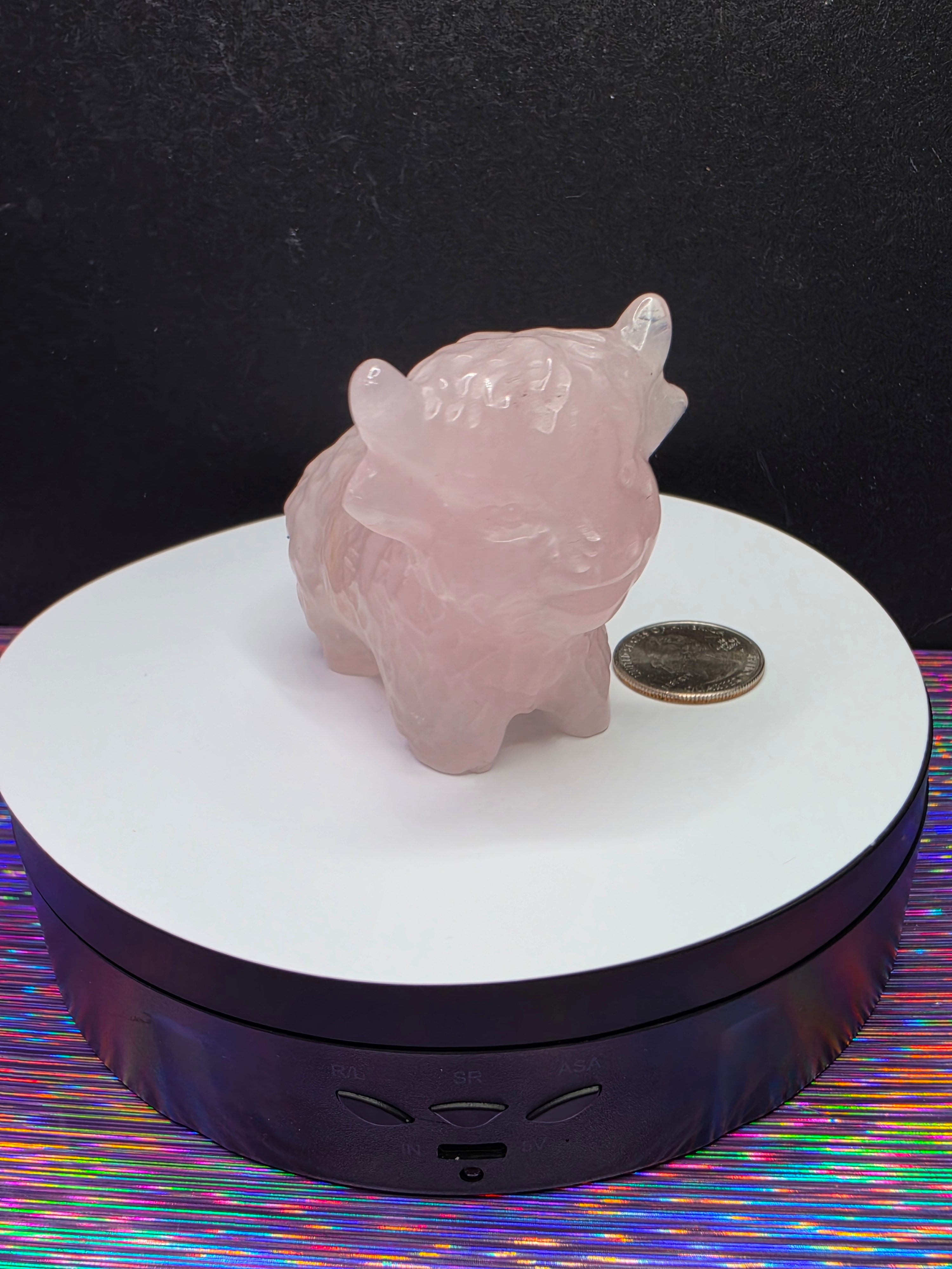 Rose Quartz Highland Cow A