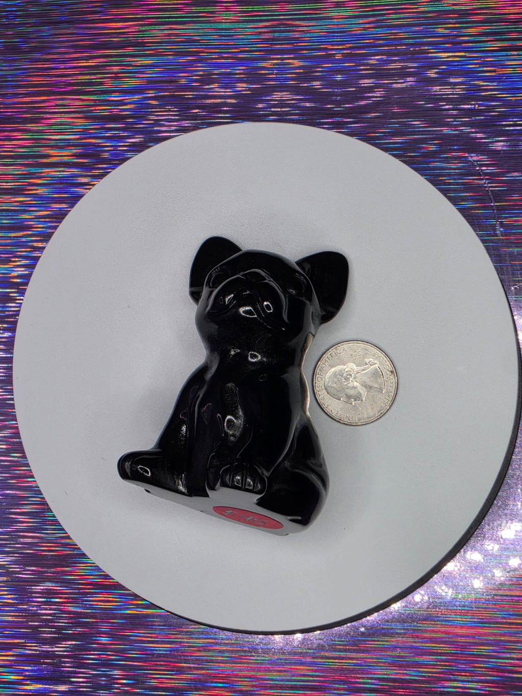 Obsidian French Bulldog