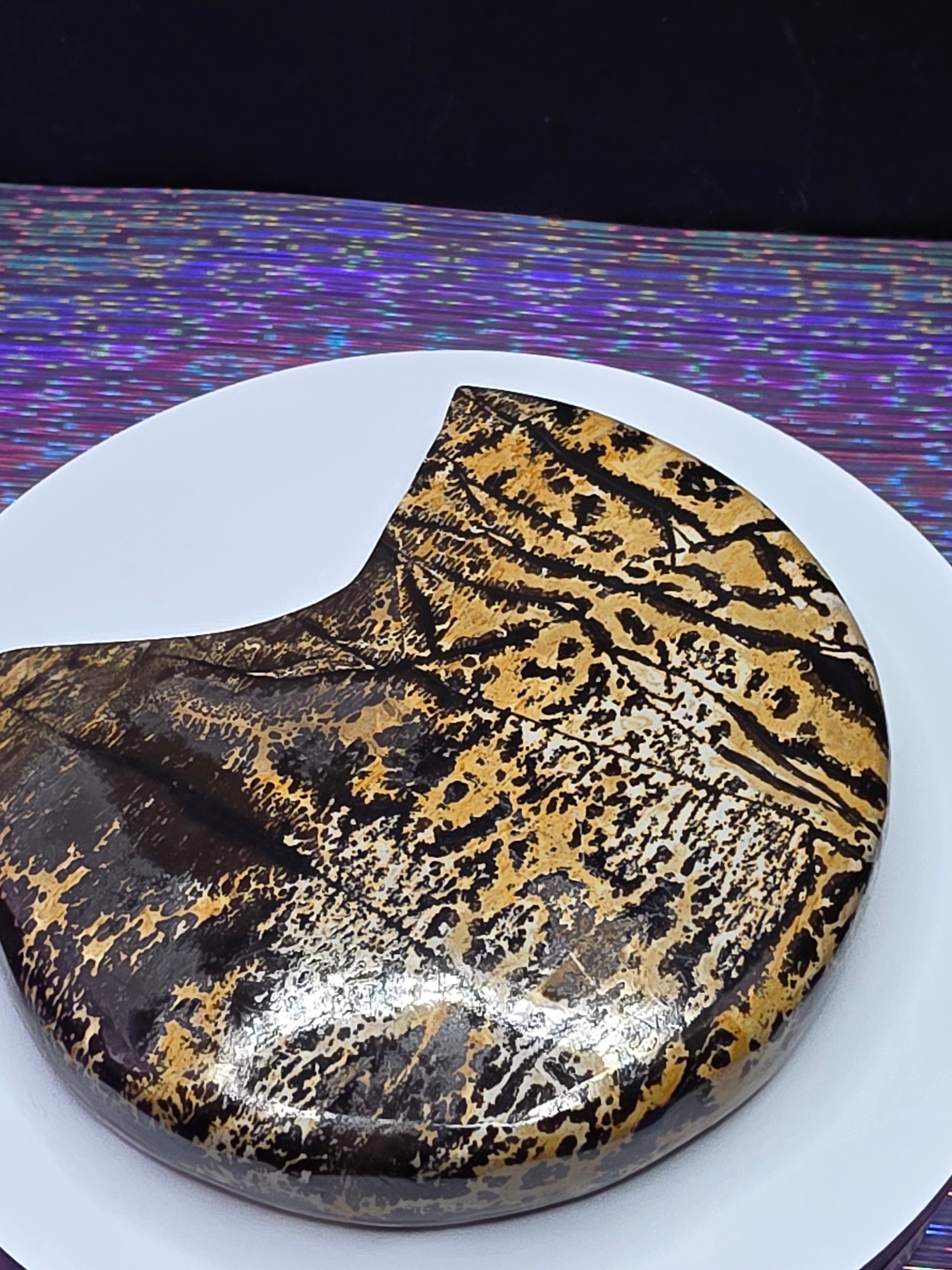 Picture Jasper Moon A