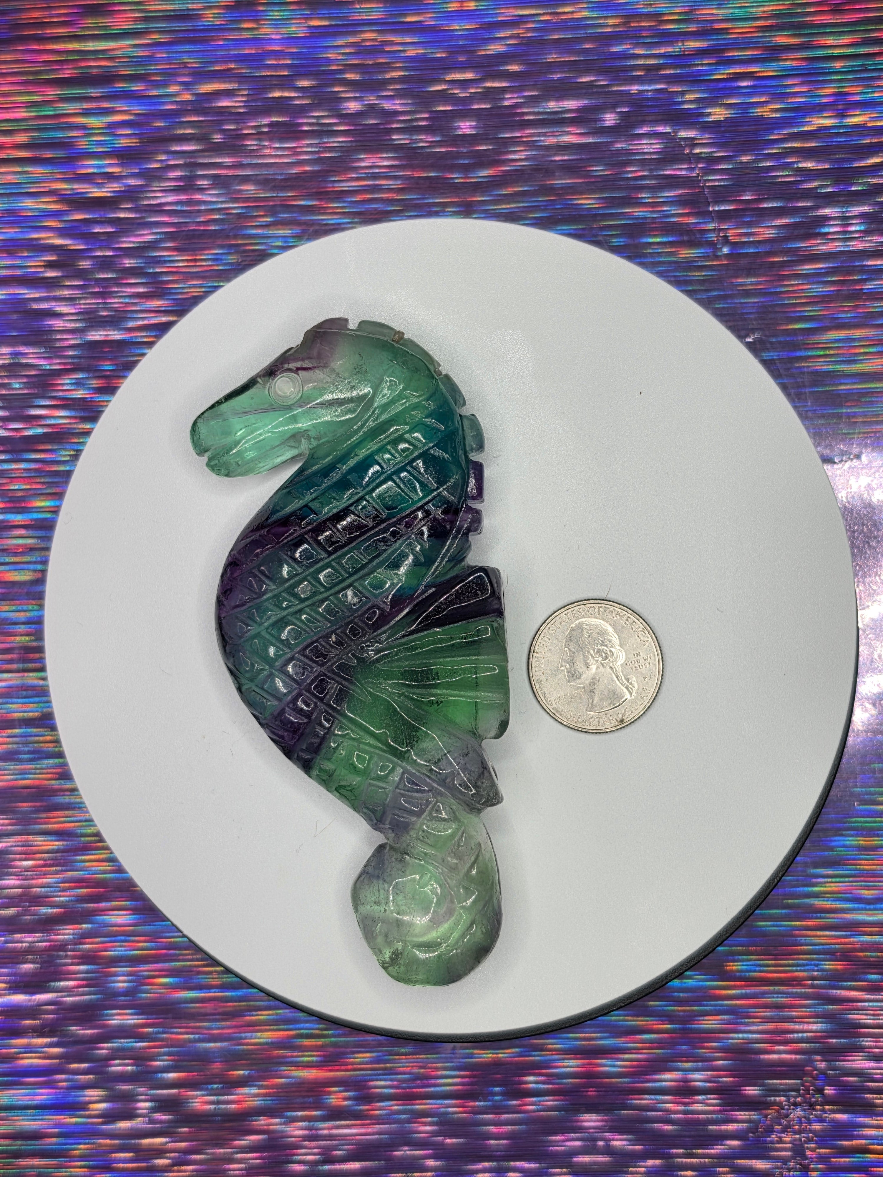 Fluorite Seahorse D