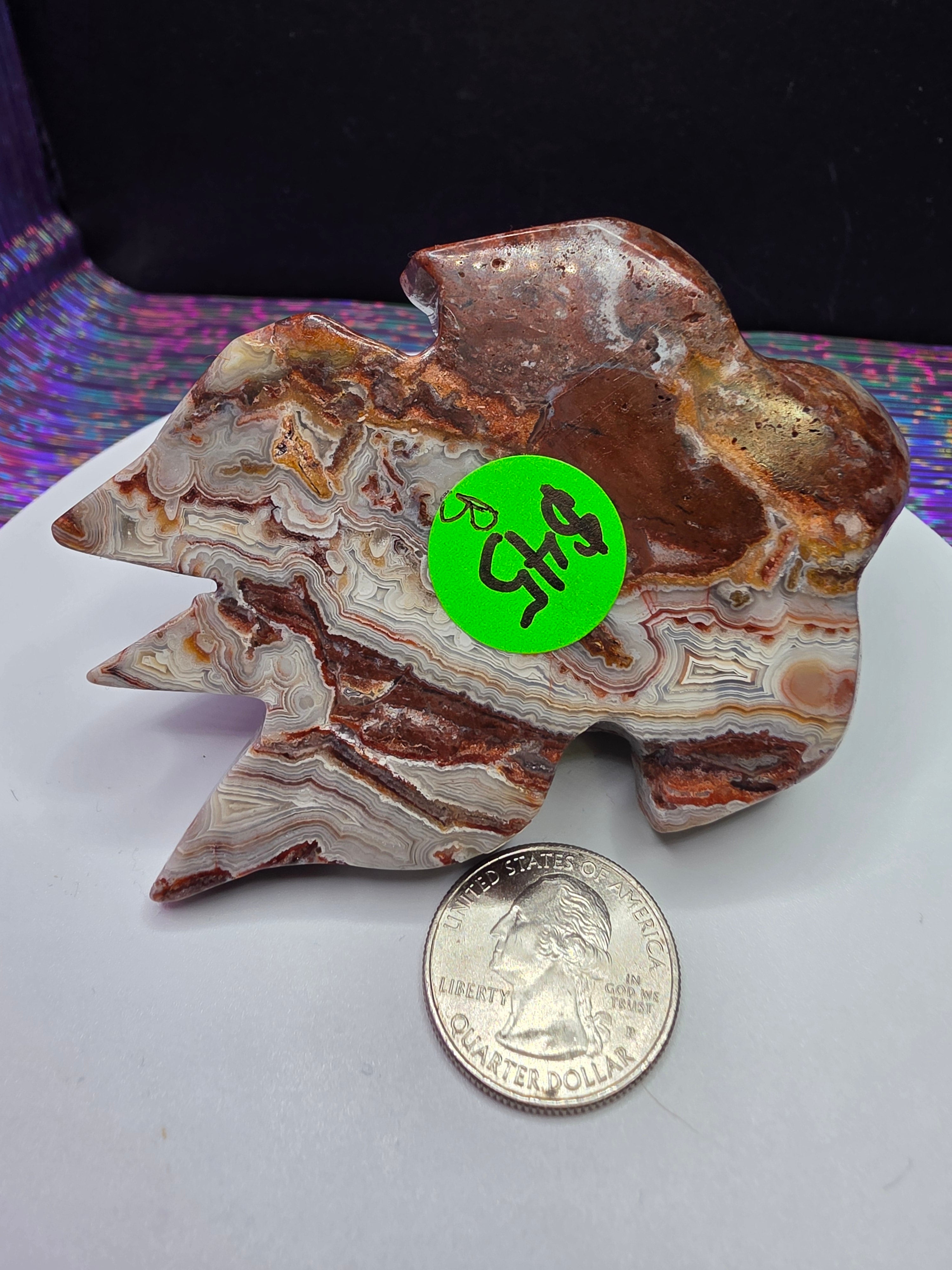 Crazy Lace Agate Turtle B
