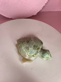 Garnierite Green Moonstone Turtle A