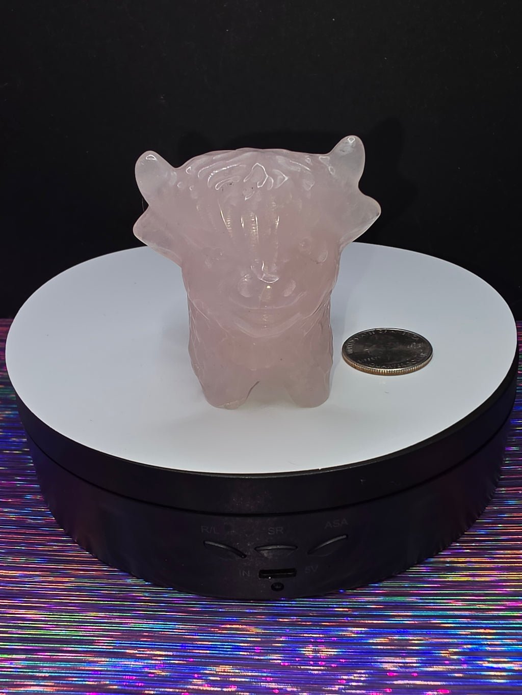 Rose Quartz Highland Cow A