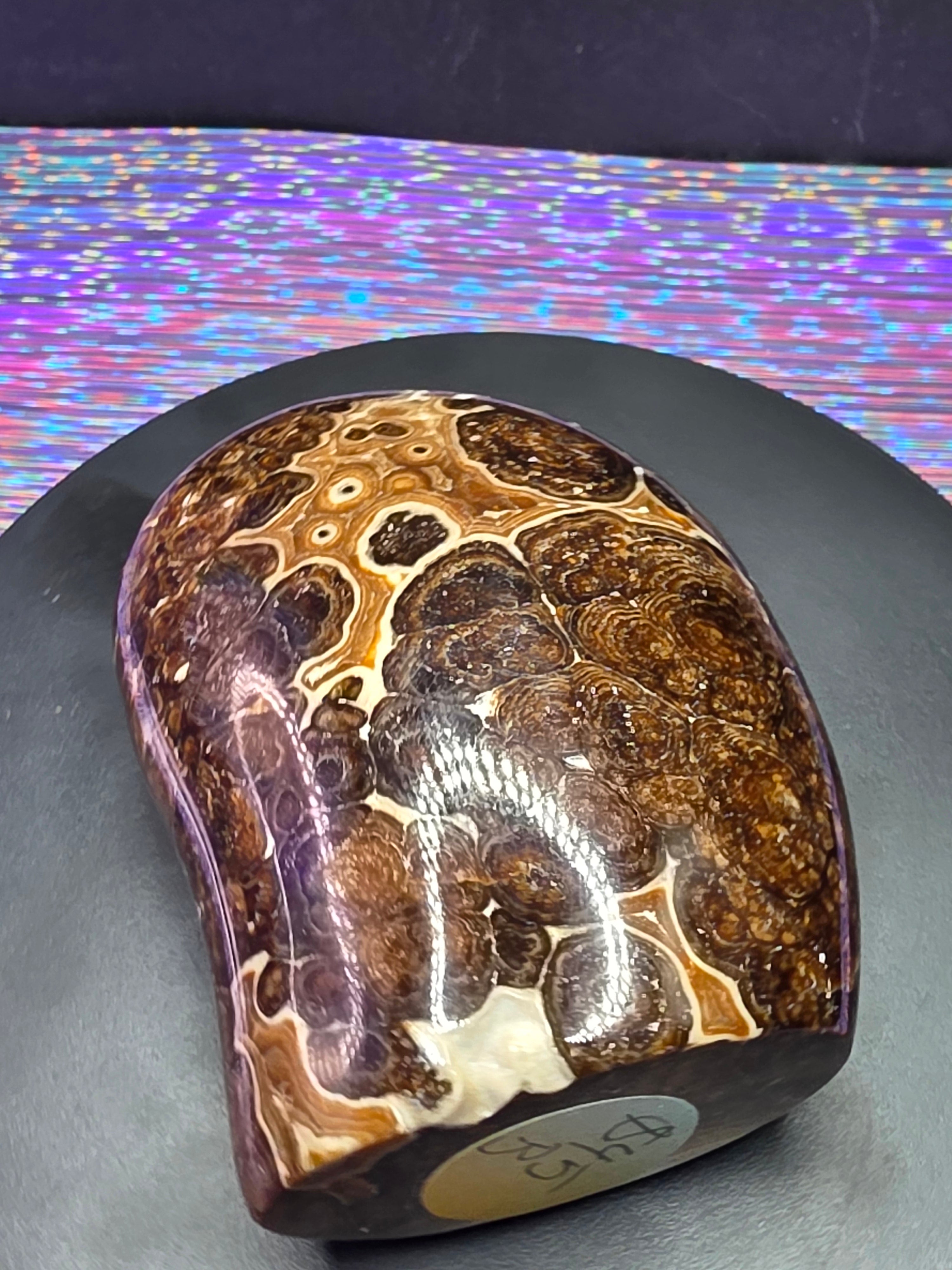 Chocolate Calcite Freeform B