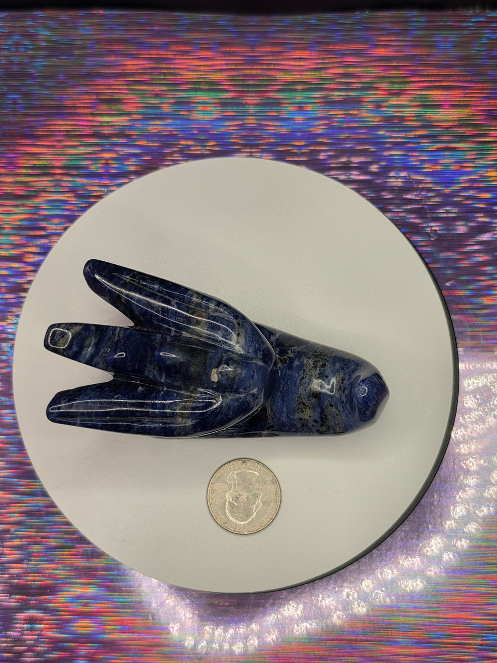 Sodalite Dragonhead