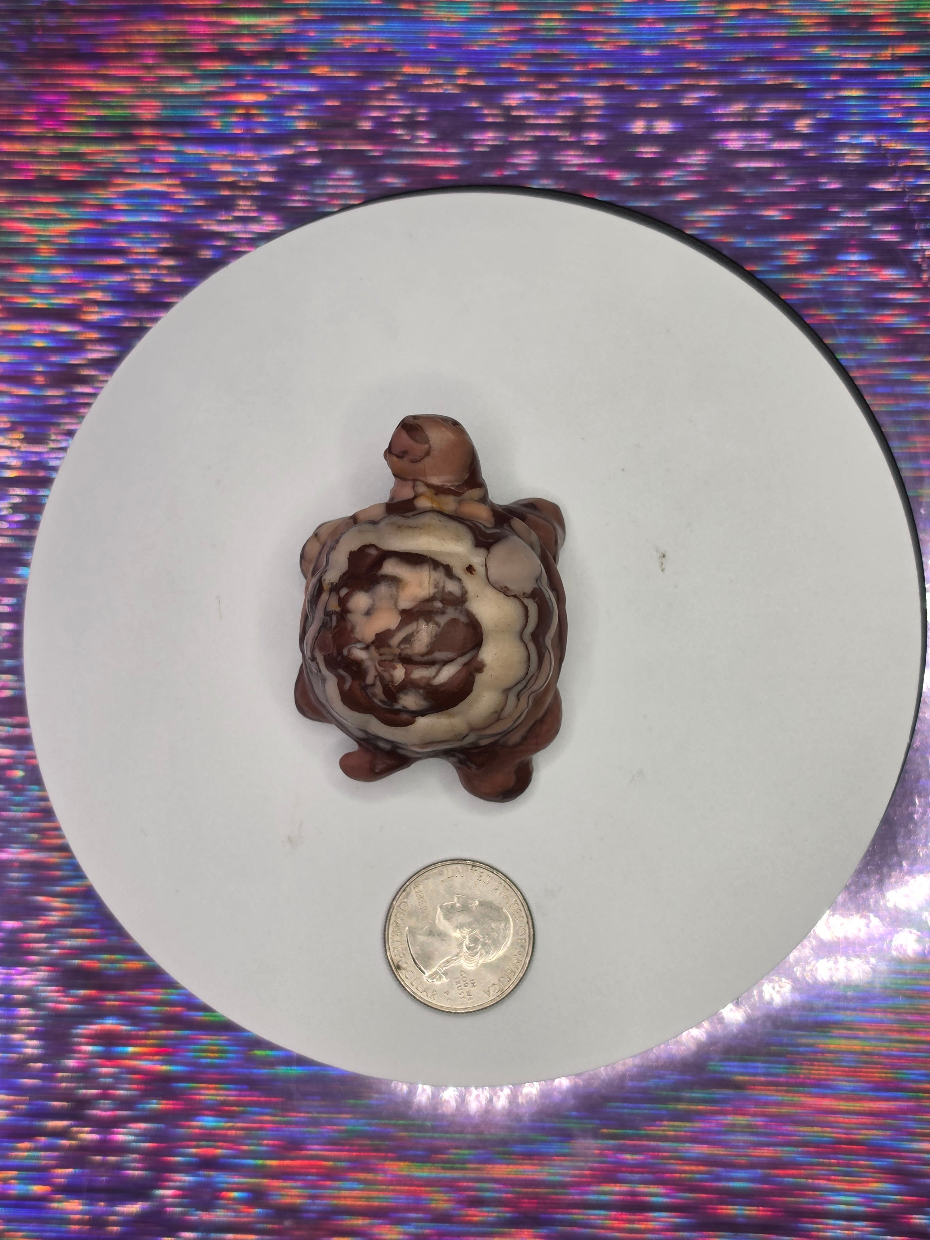 Chocolate Calcite Turtle