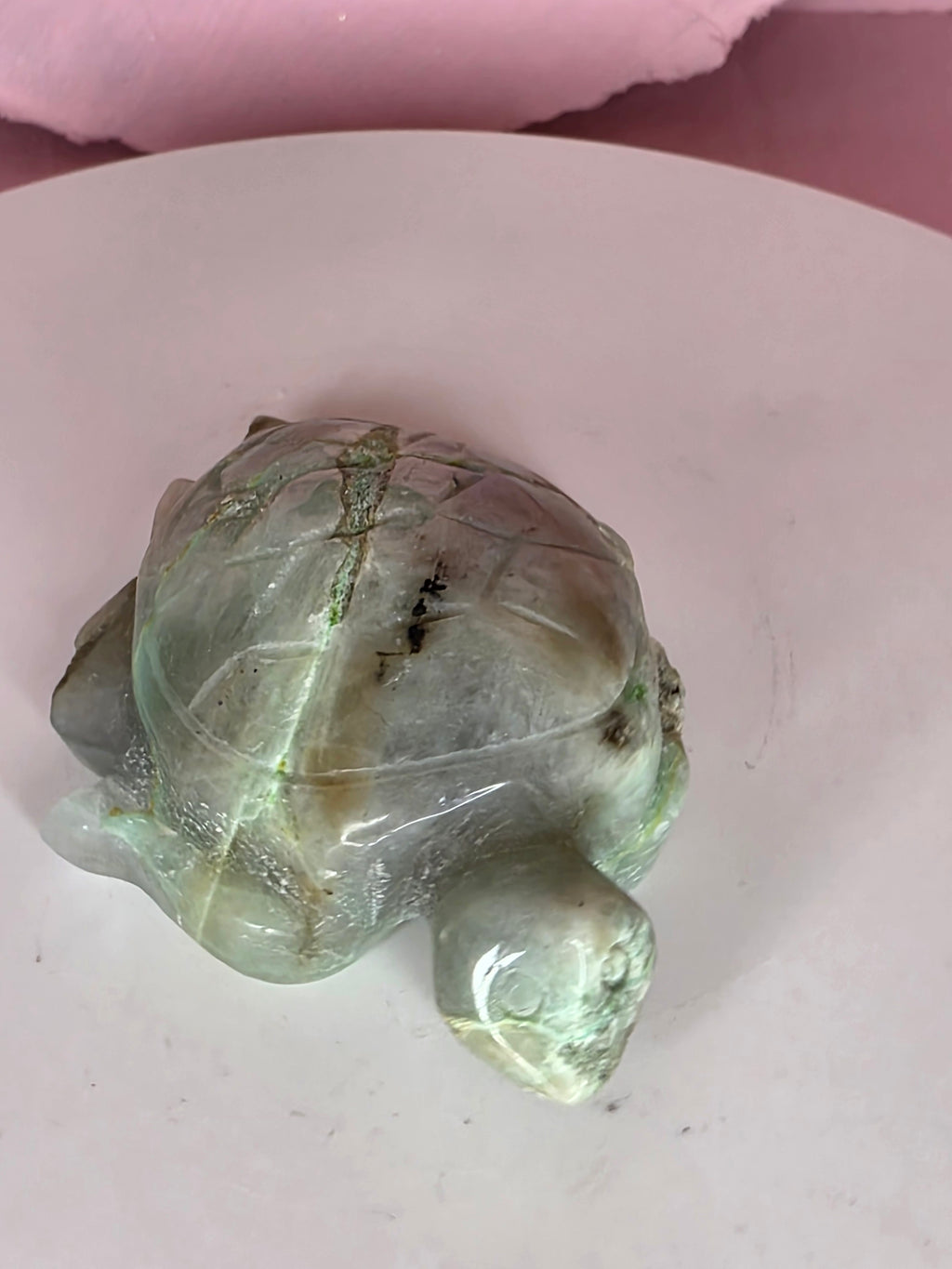 Garnierite Green Moonstone Turtle B