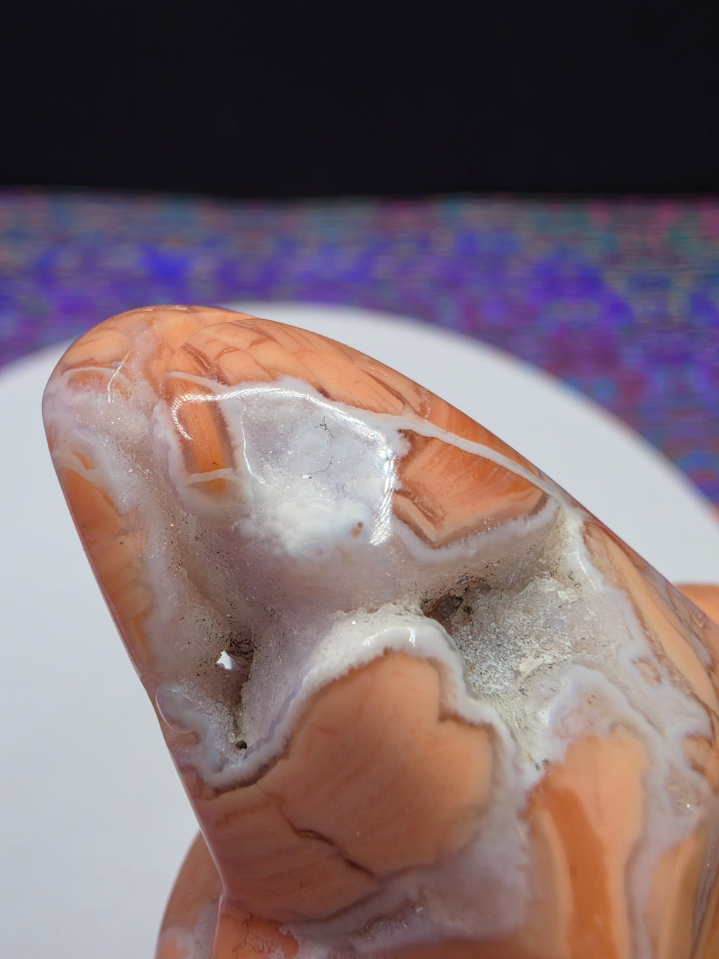 Cotton Candy Agate Turtle A