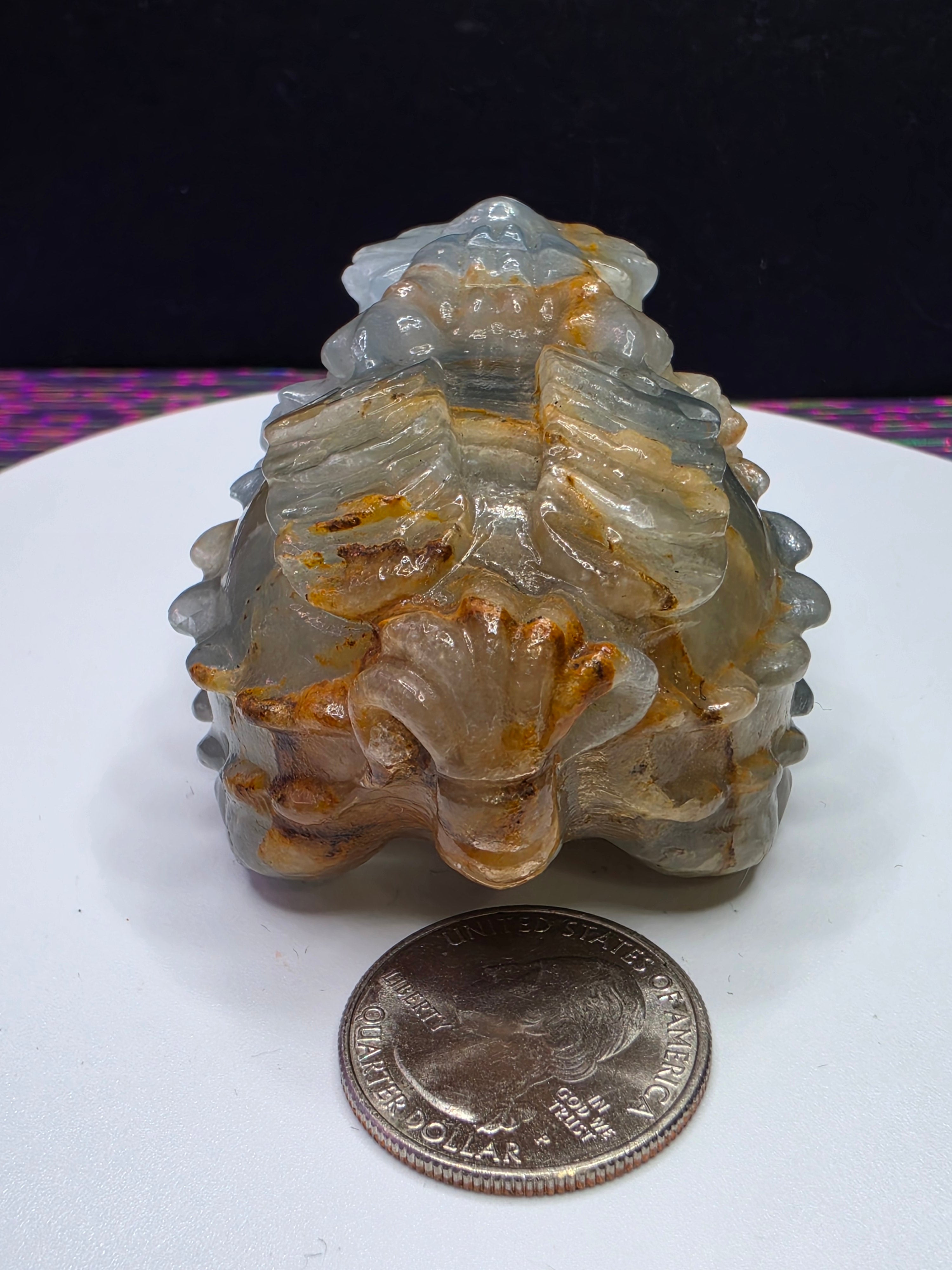 Blue Onyx Lion Turtle