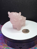 Rose Quartz Highland Cow A