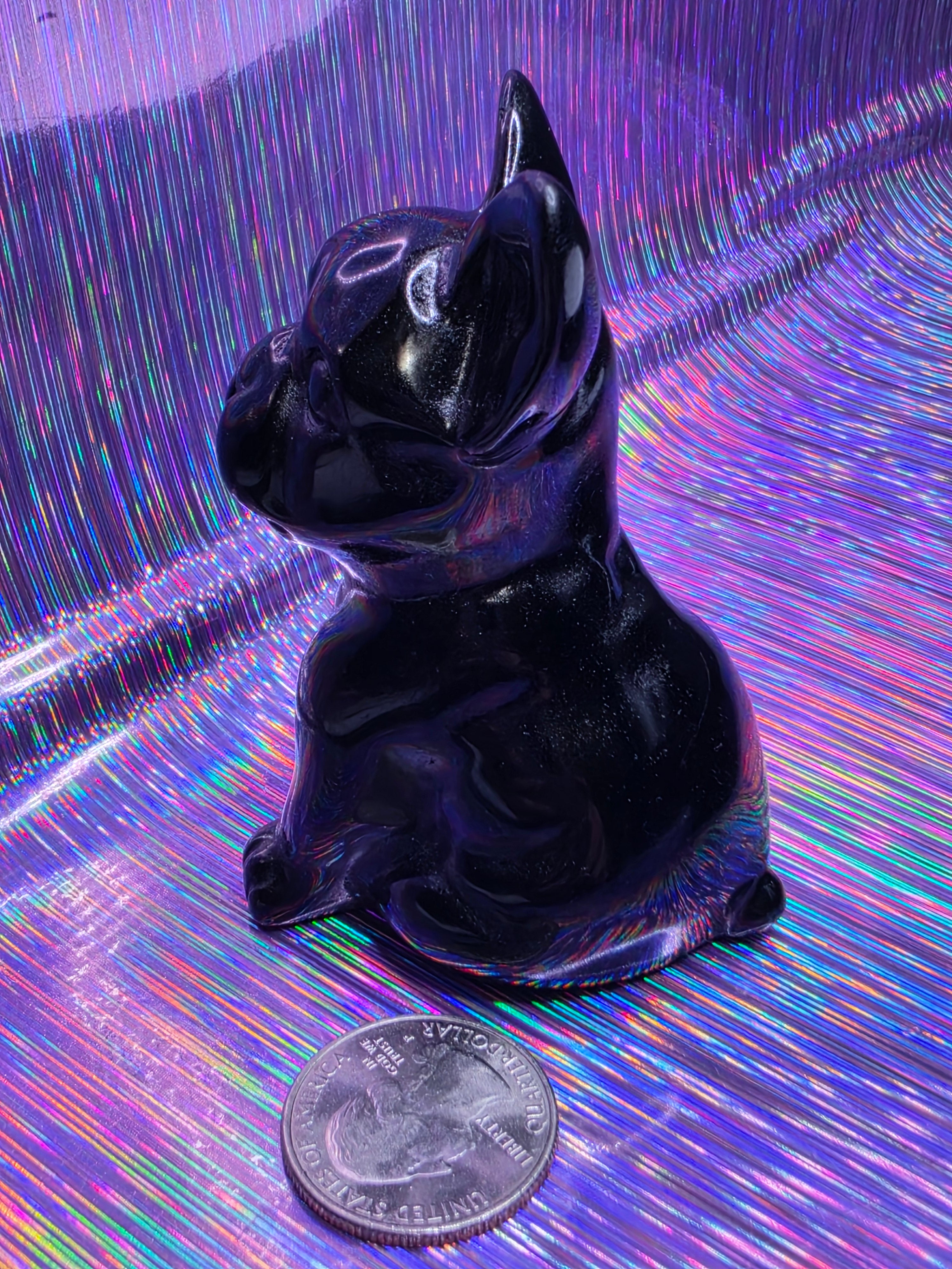 Obsidian French Bulldog