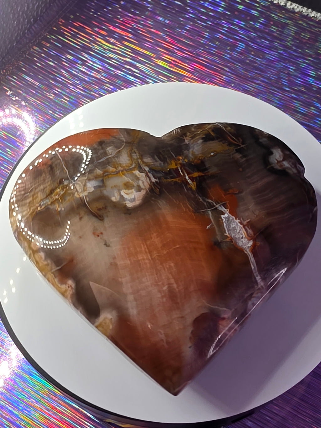 Petrified Wood Heart