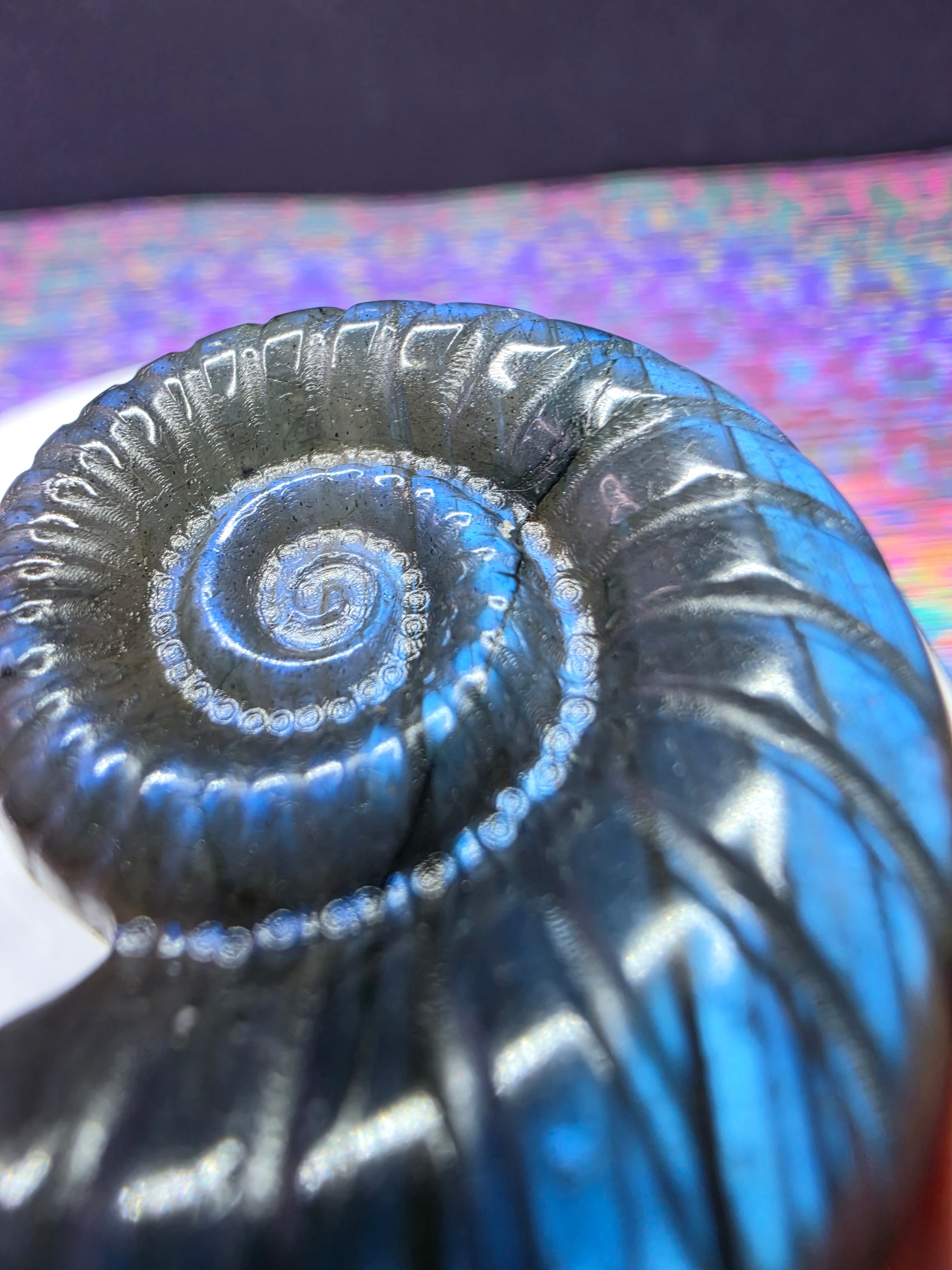 Labradorite Spiral Shell Carving