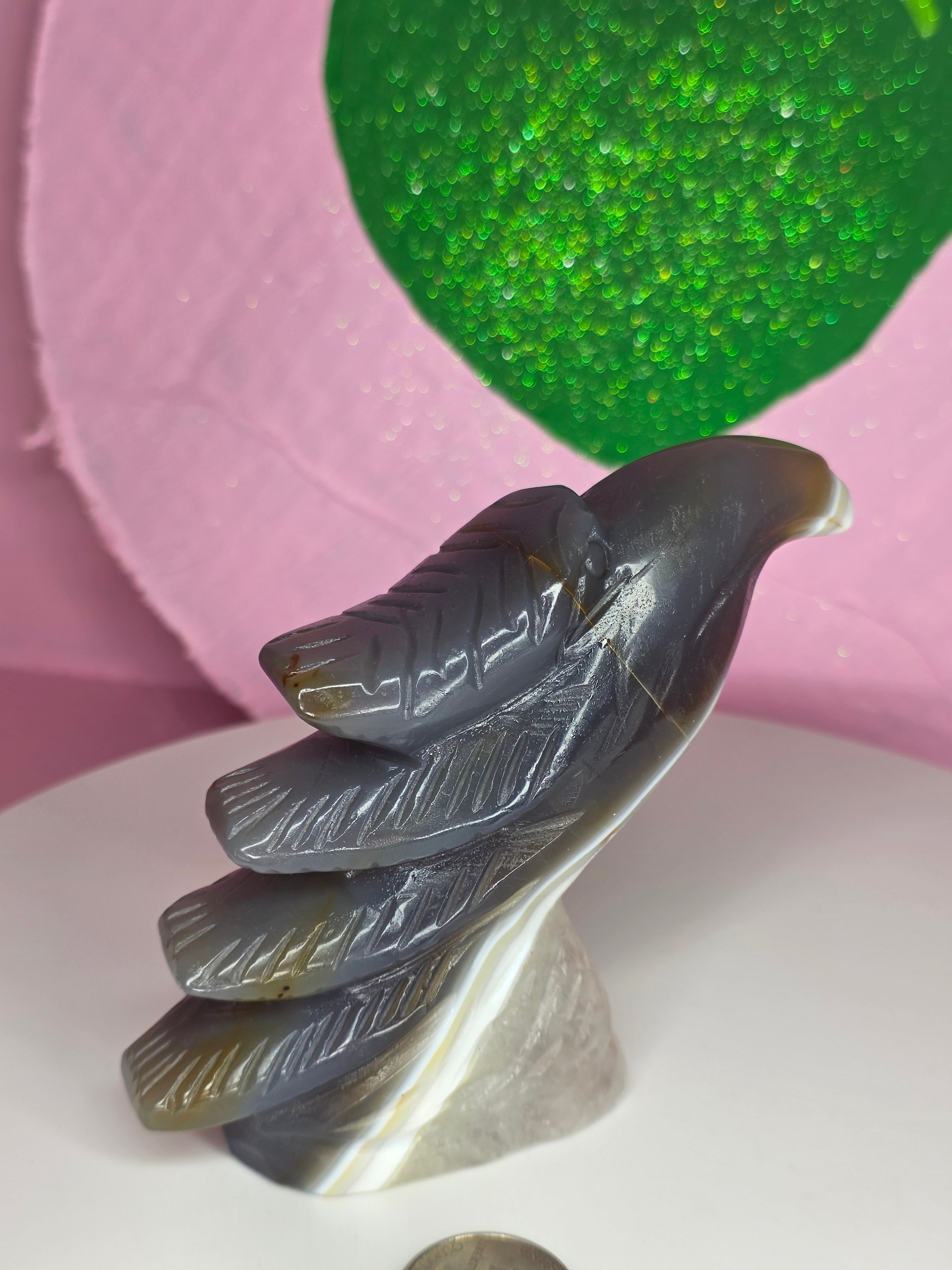 Orca Agate Eagle Head