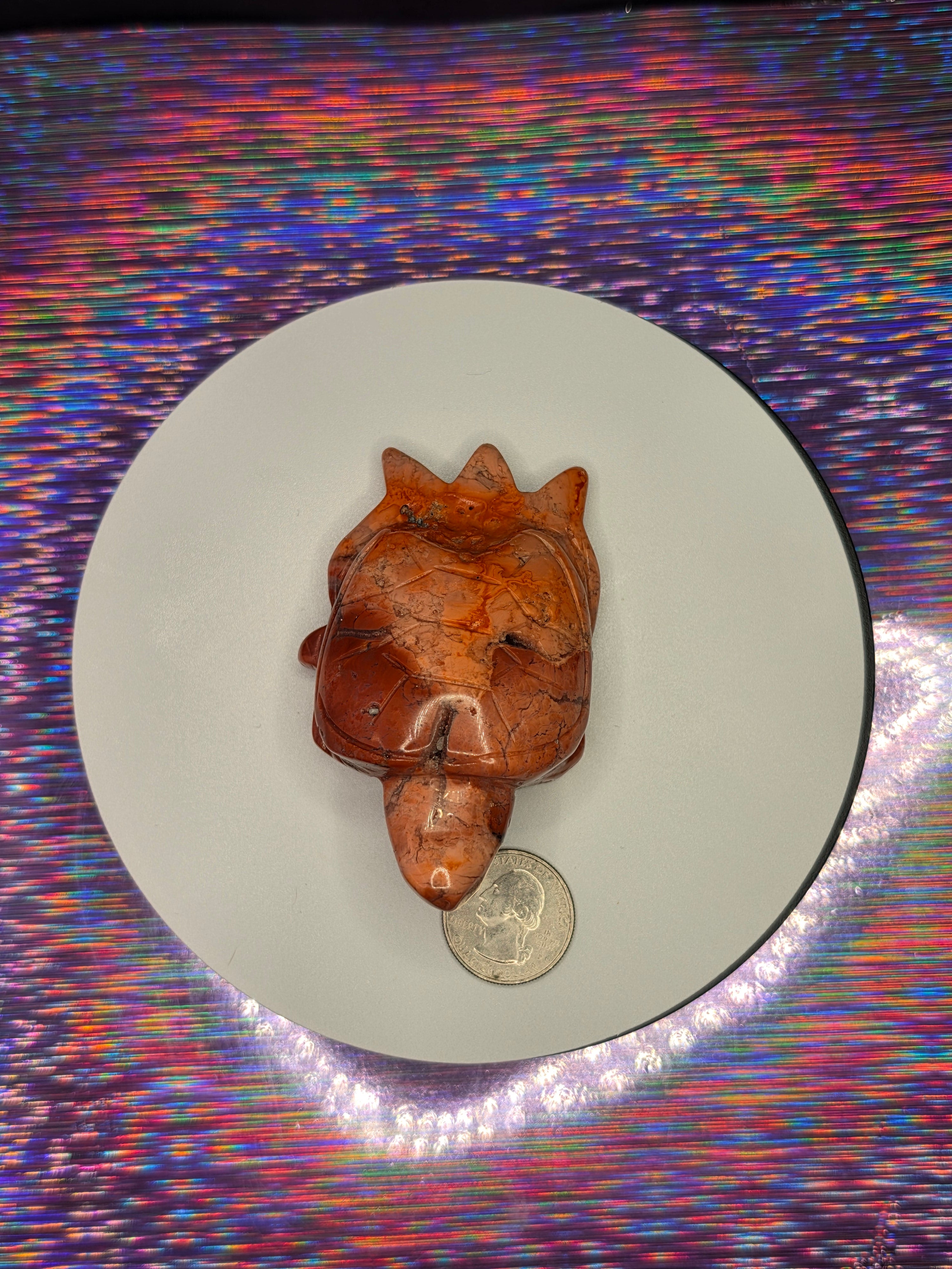 Cotton Candy Agate Turtle C