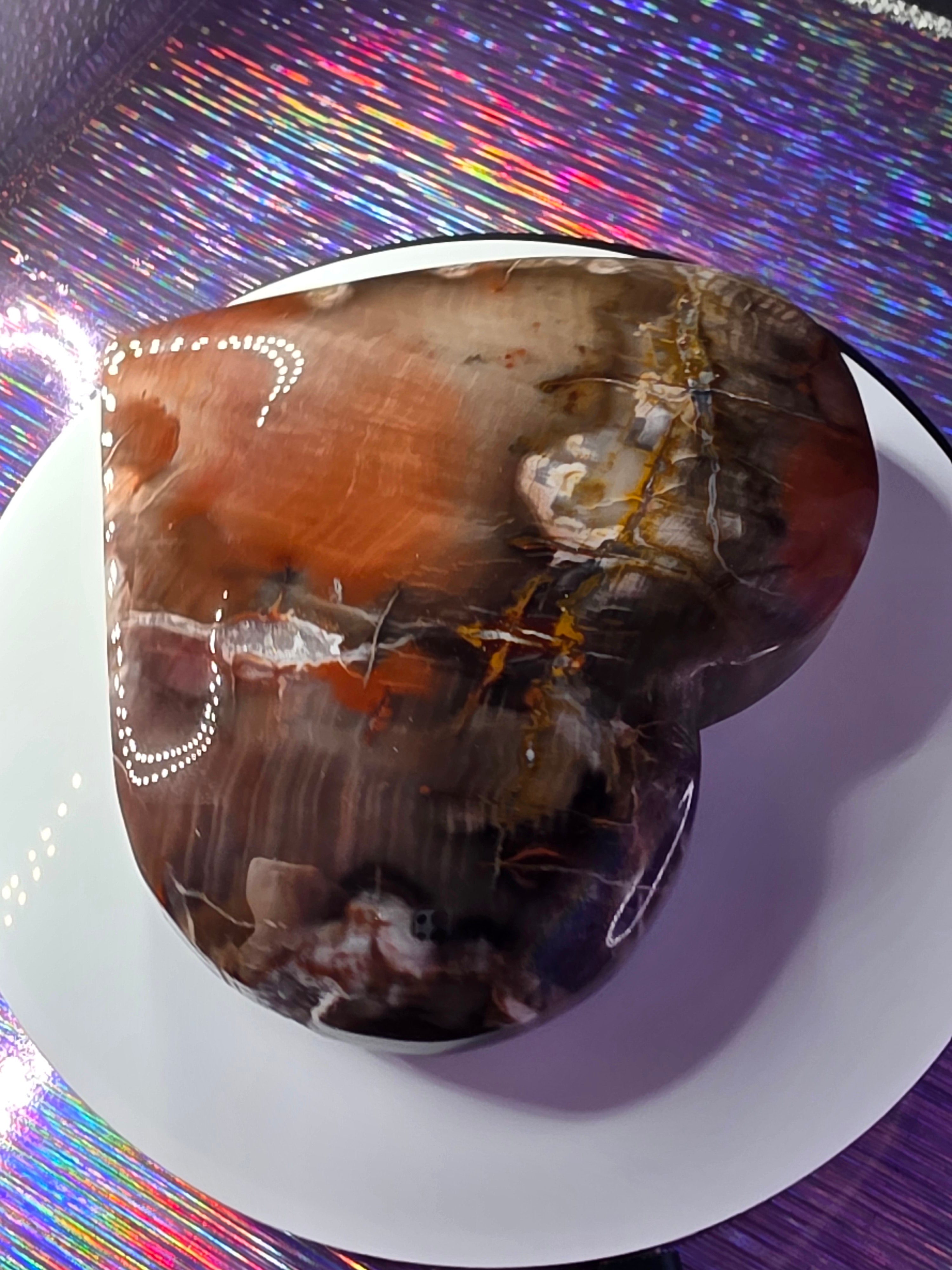 Petrified Wood Heart