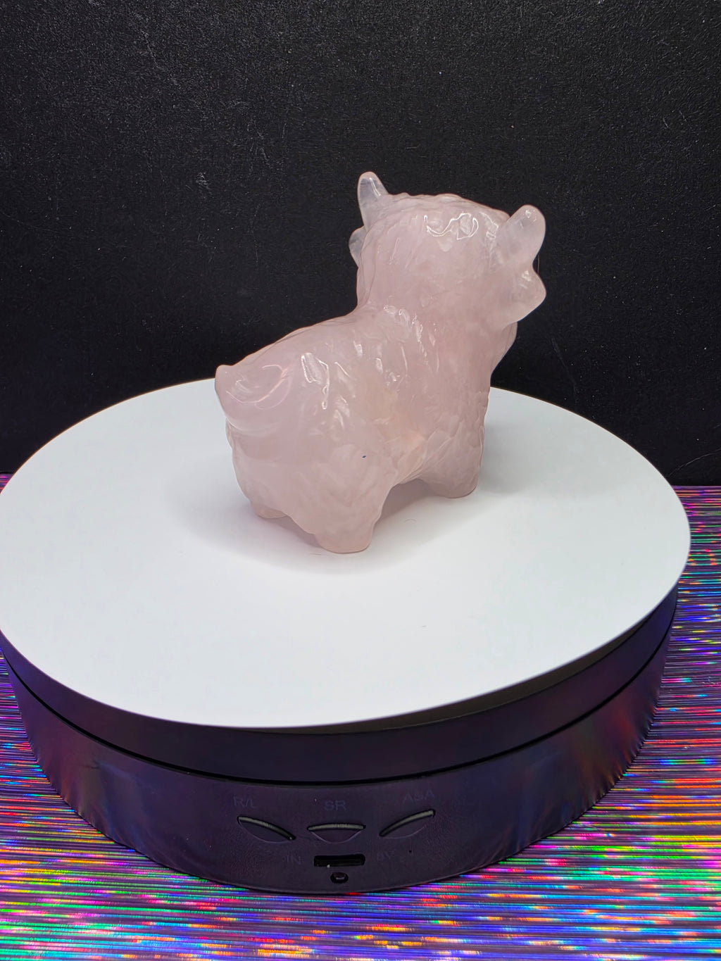 Rose Quartz Highland Cow A