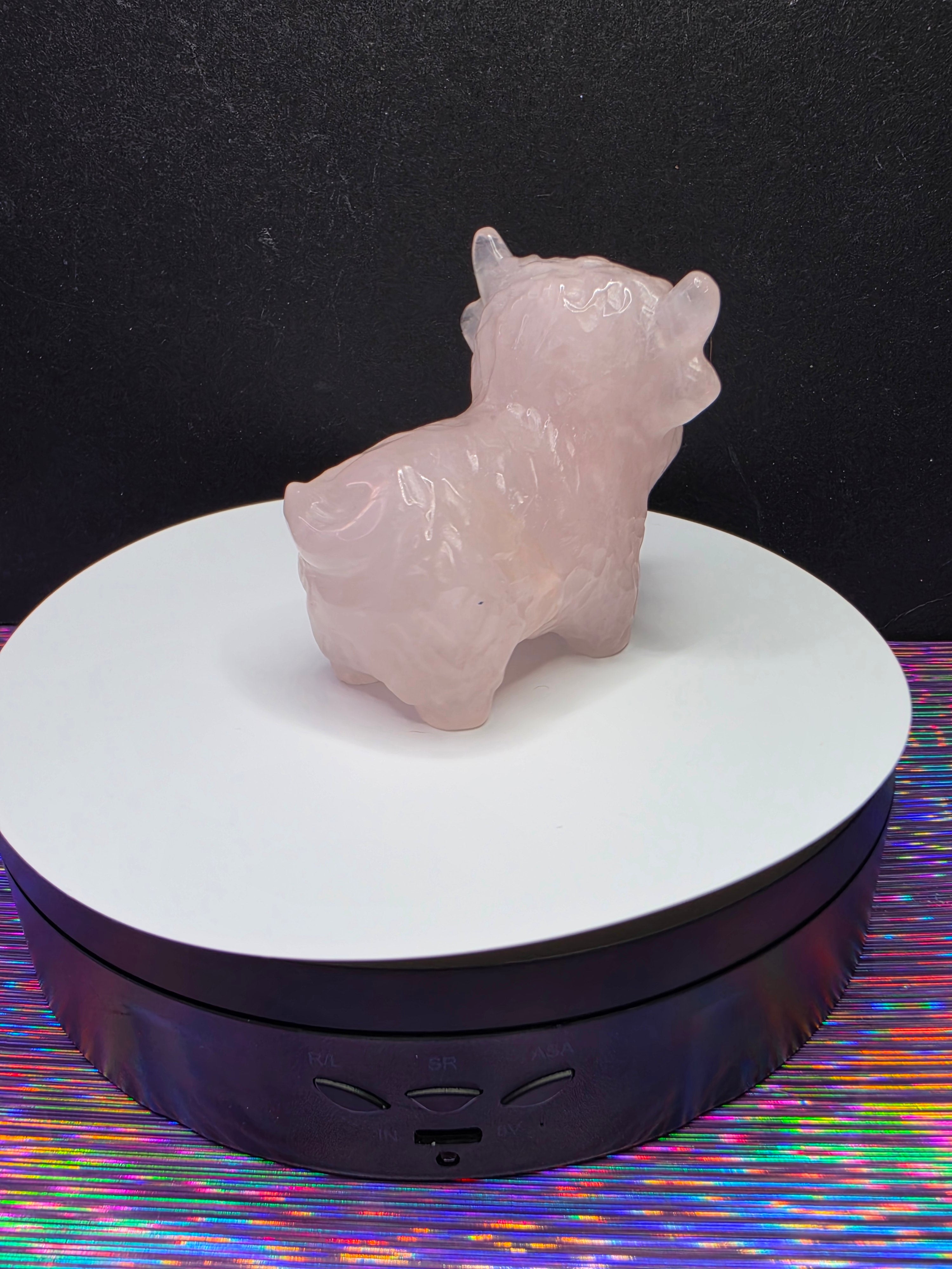 Rose Quartz Highland Cow A